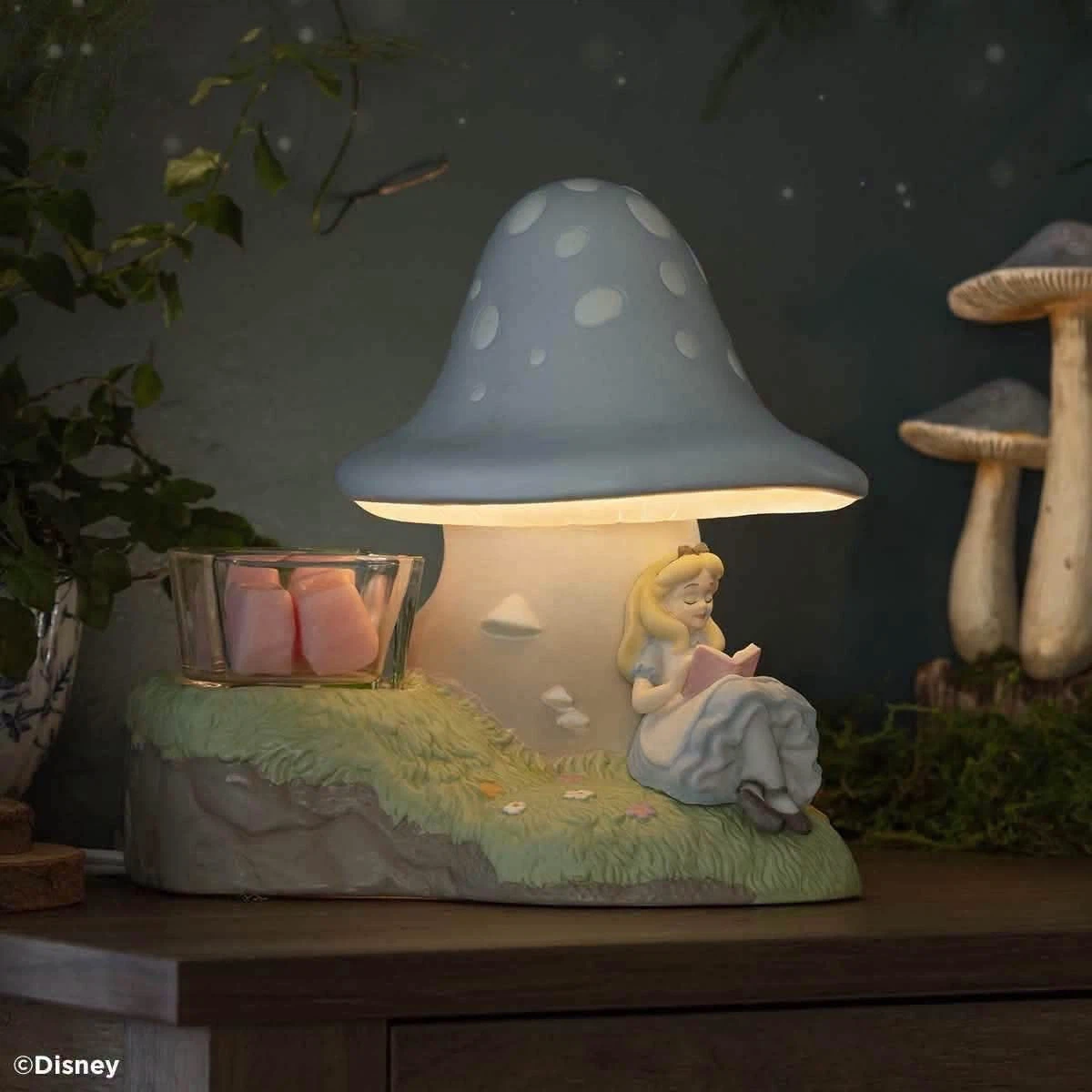 🍄‍🟫COMING MONDAY OCTOBER 19…Alice in Wonderland 🍄‍🟫