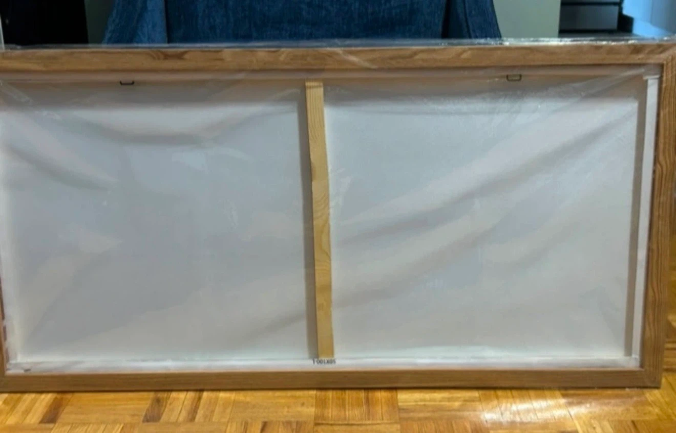 Framed Abstract Canvas Wall Art (20”H x 40”W) - photo 3