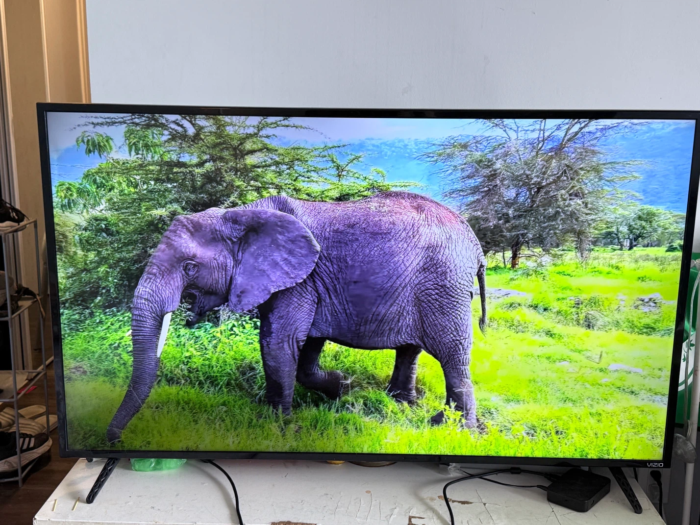 Vizio 55-Inch TV – Good Working Condition
