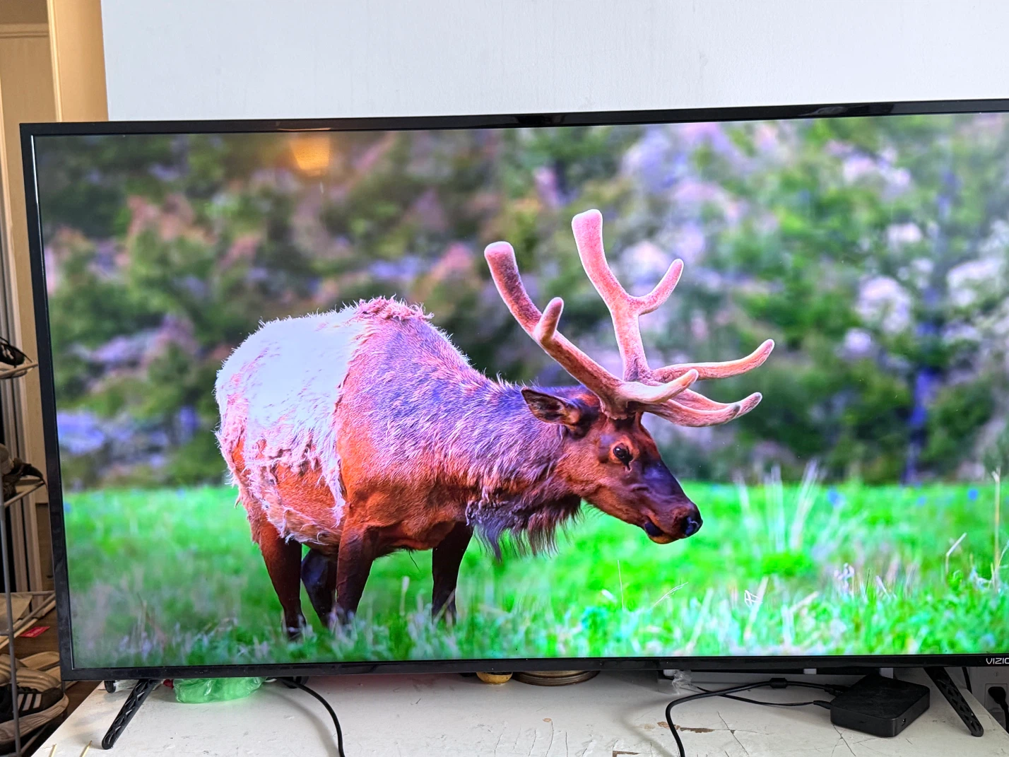 Vizio 55-Inch TV – Good Working Condition - photo 2