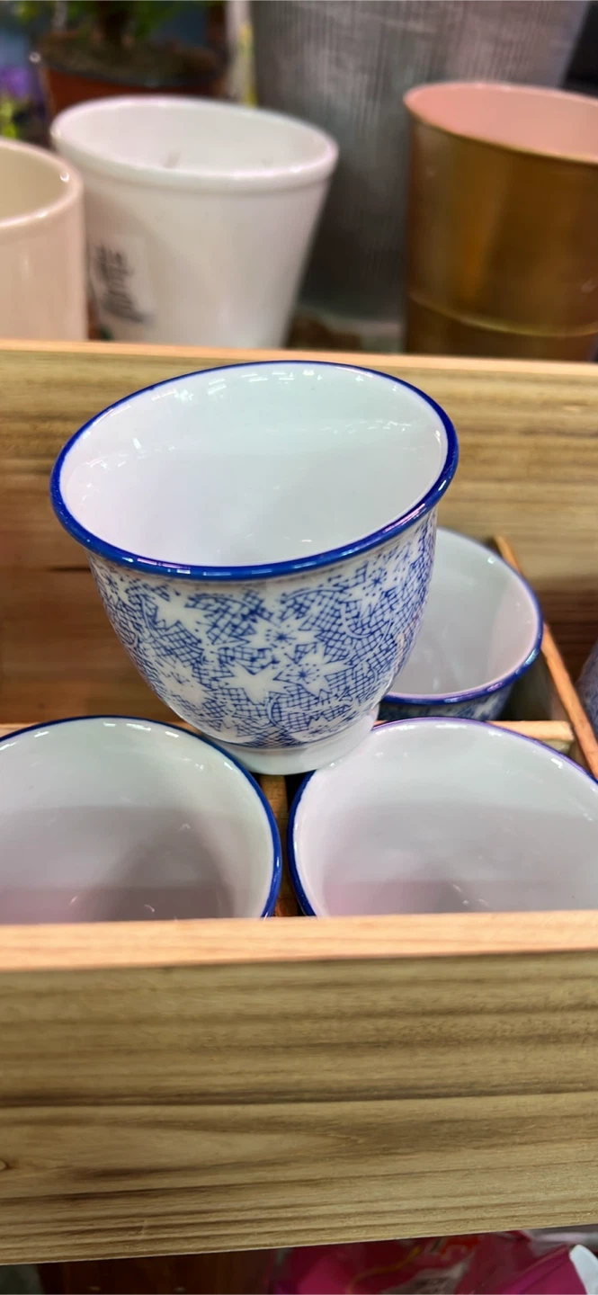 Blue and White Porcelain Tea Set - photo 3