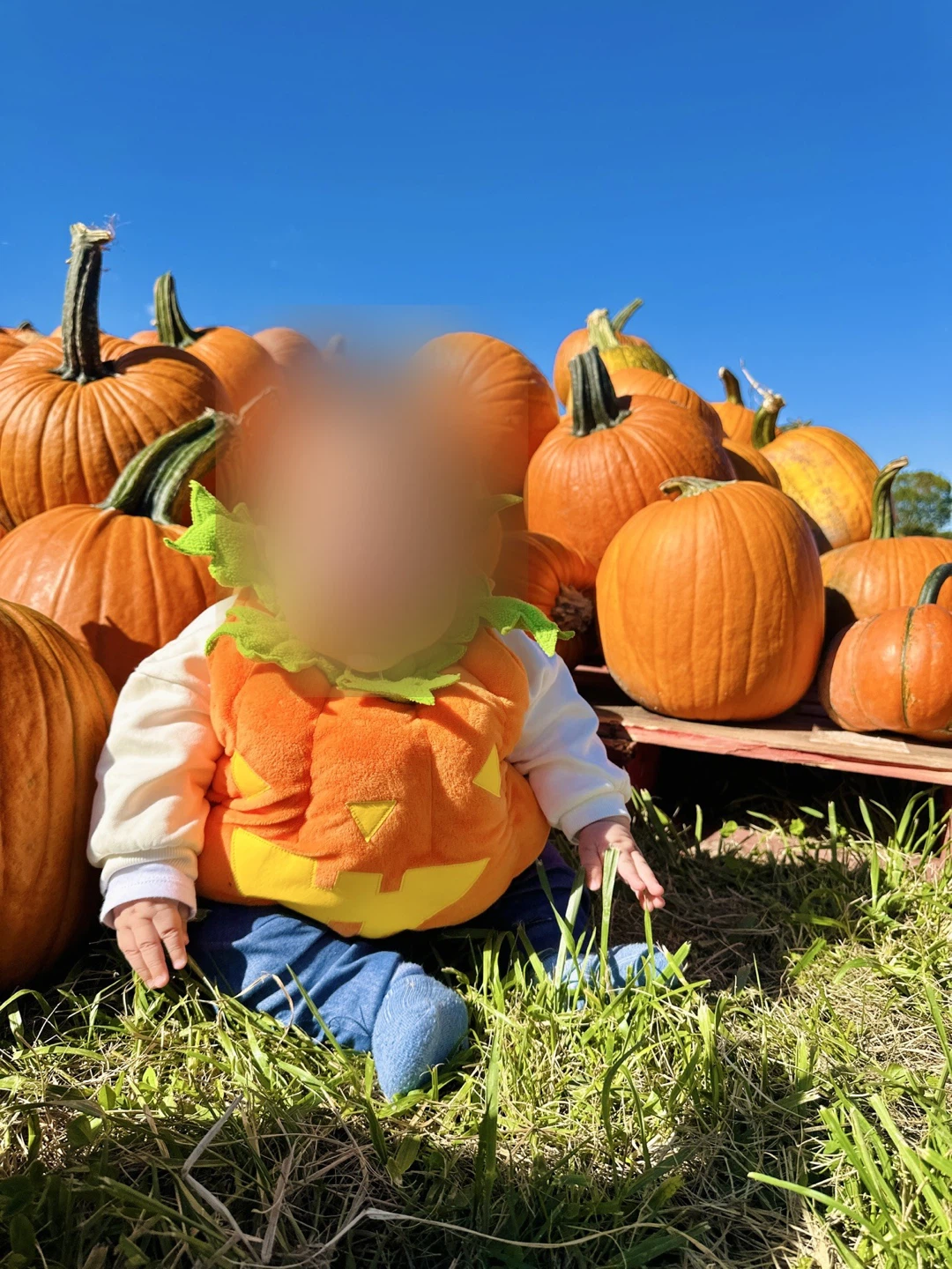 Baby Pumpkin Costume 6-9M - photo 2