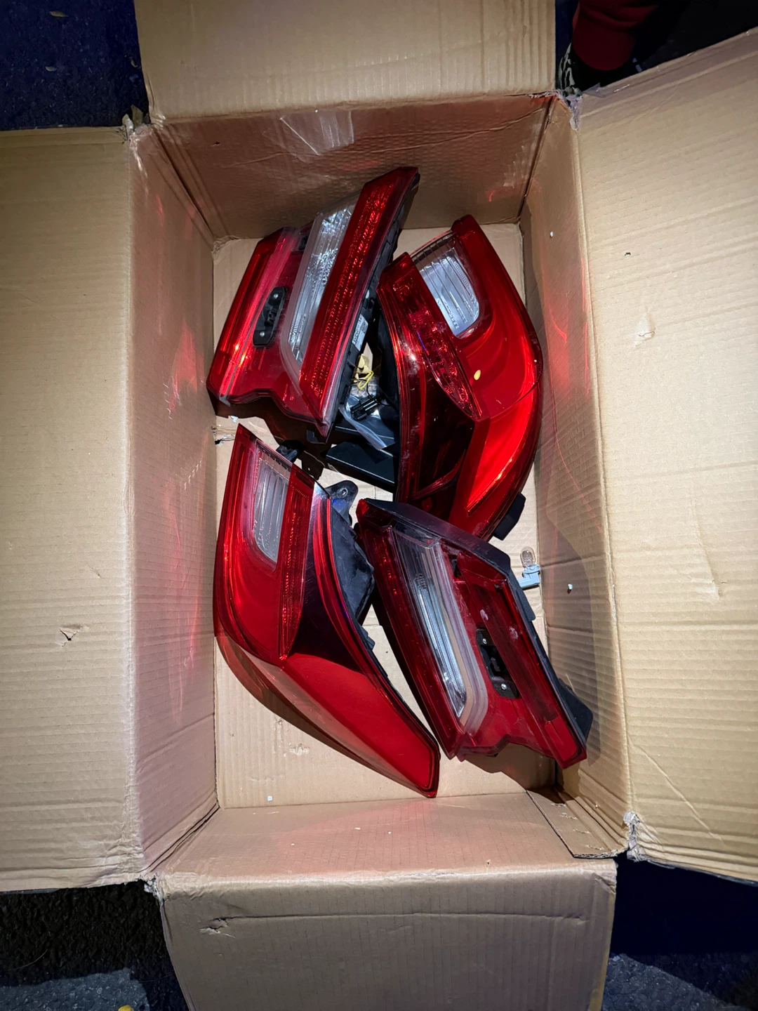 Honda Accord Tail Light Assemblies