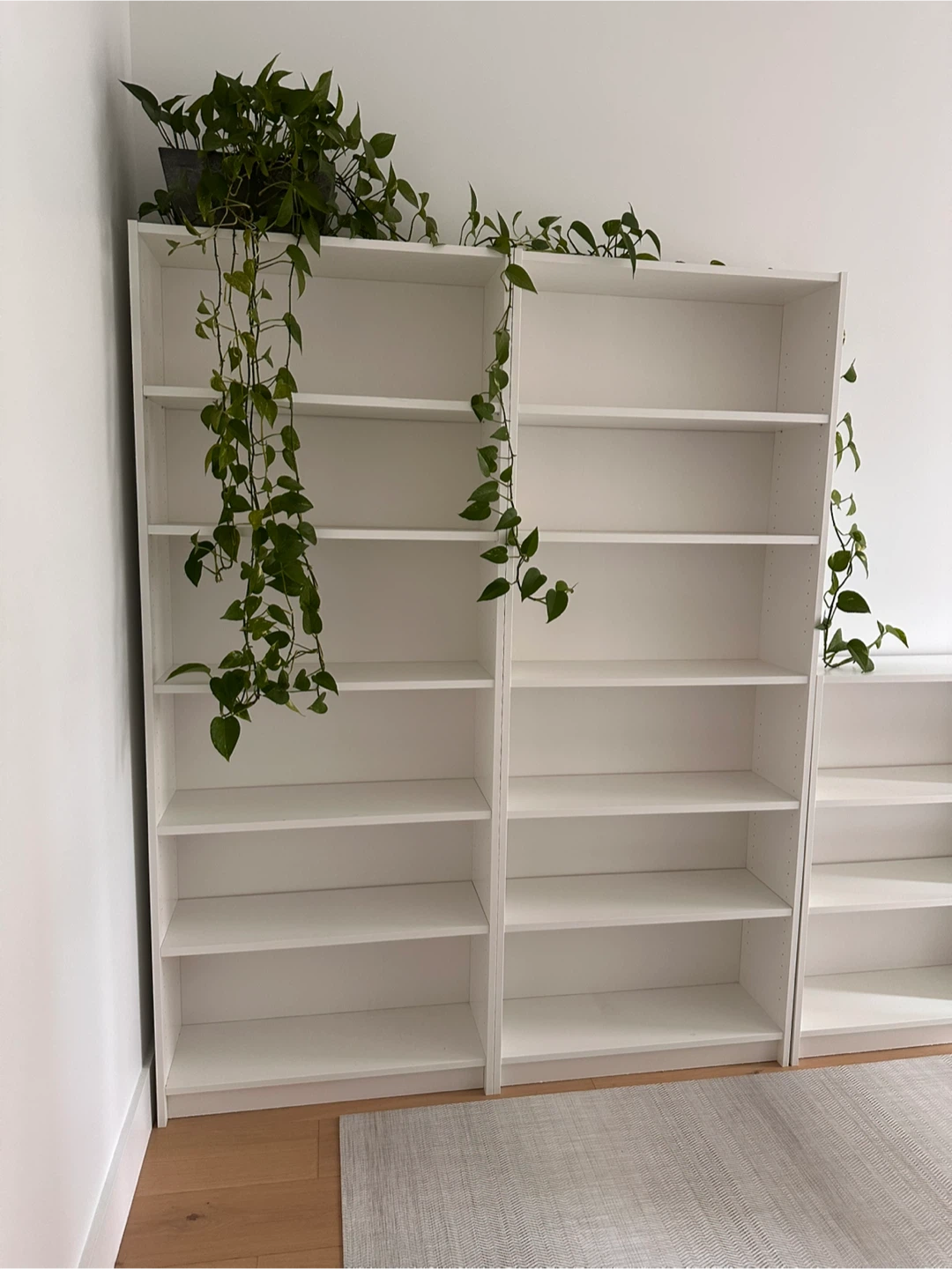 White Bookshelf Set