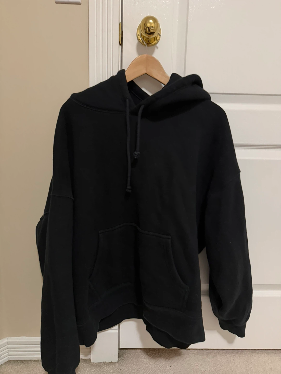 Aritzia Hoodie