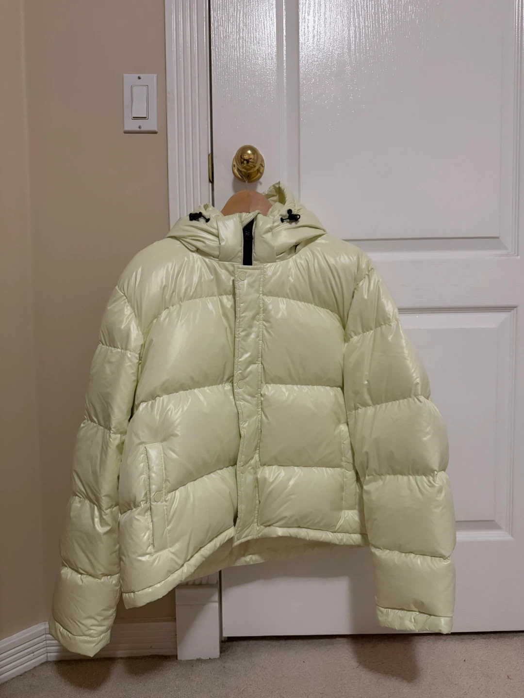 Aritzia Superpuff Shorty