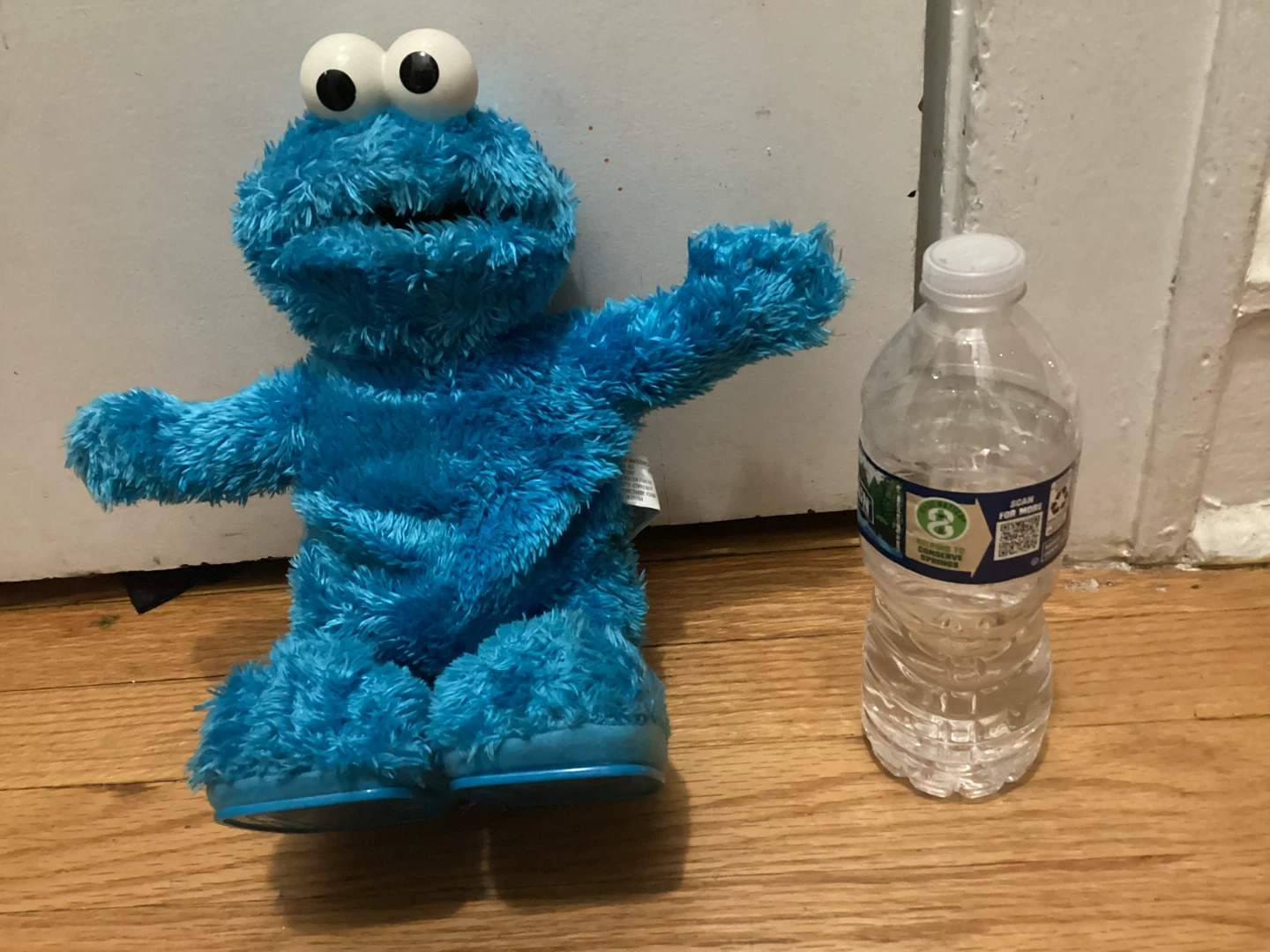 Cookie Monster Plush Toy
