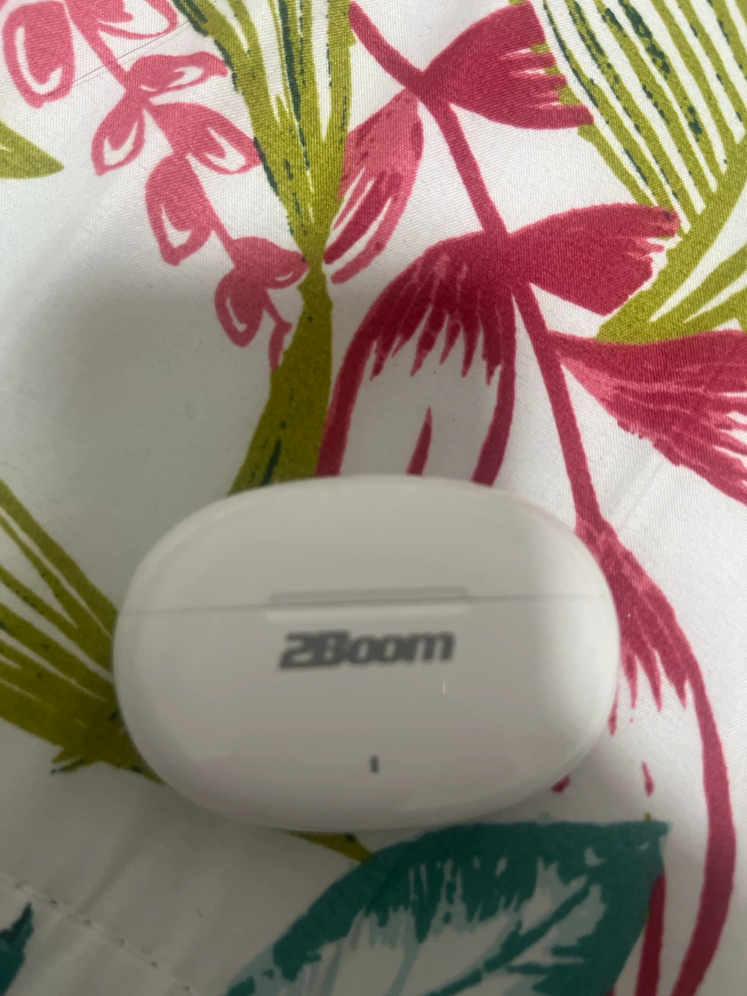 2Boom Wireless Earbuds Charging Case