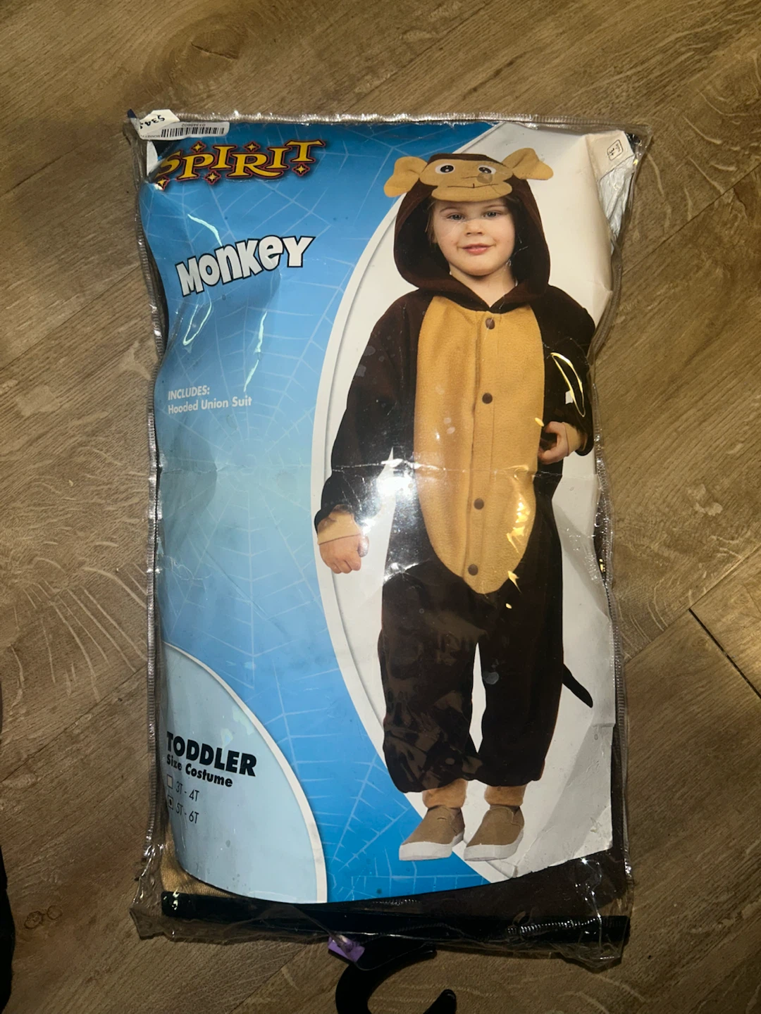Money costume