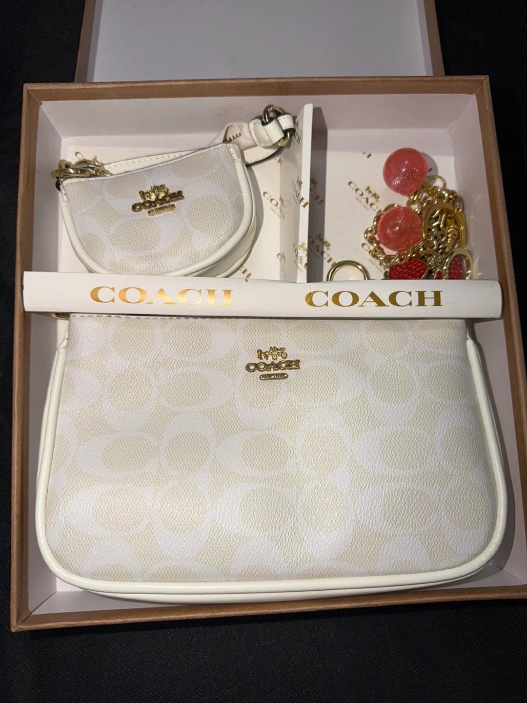 Coach Signature Canvas Pouch Set