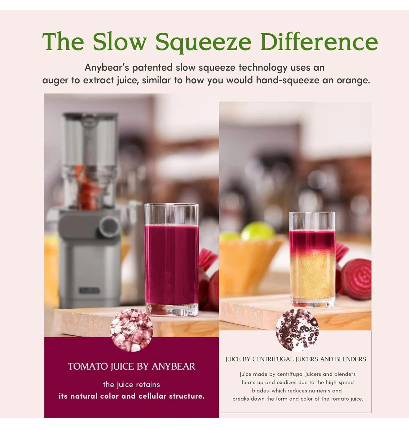 Anybear Slow Juicer Model SJ-054C - photo 2