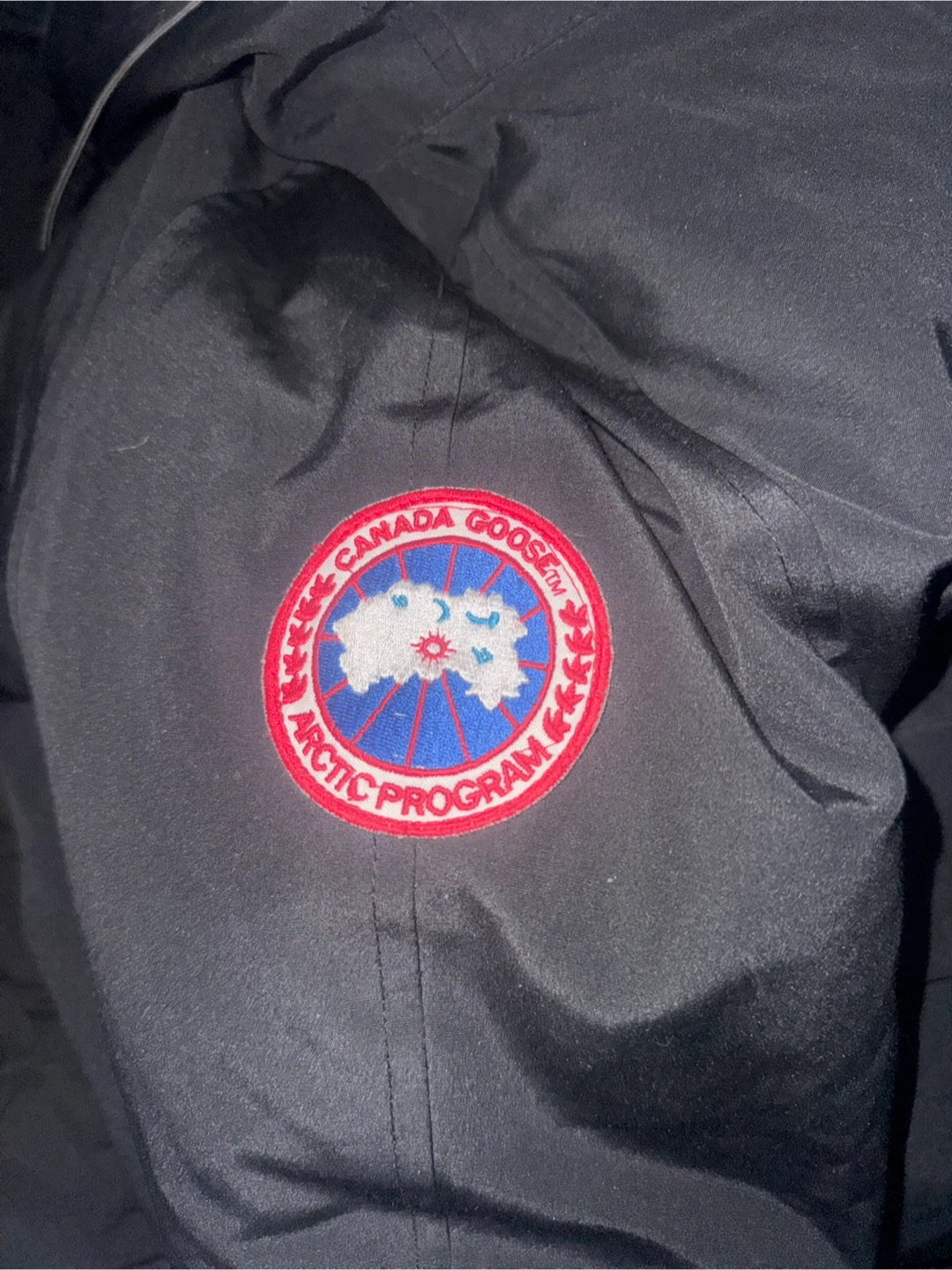Canada Goose Black 2000s Bomber Jacket - photo 5