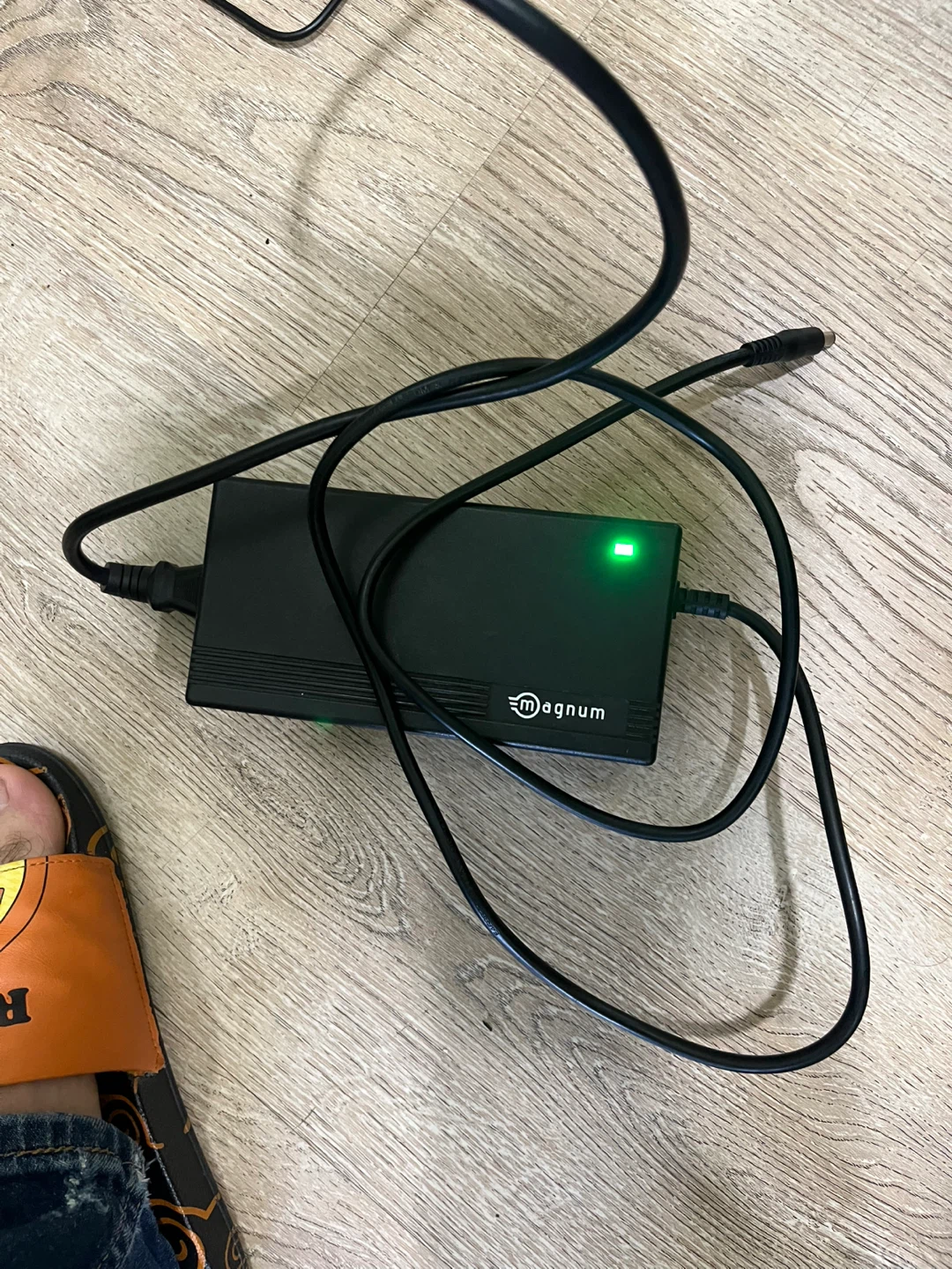 Magnum Electric Bike Charger - photo 2