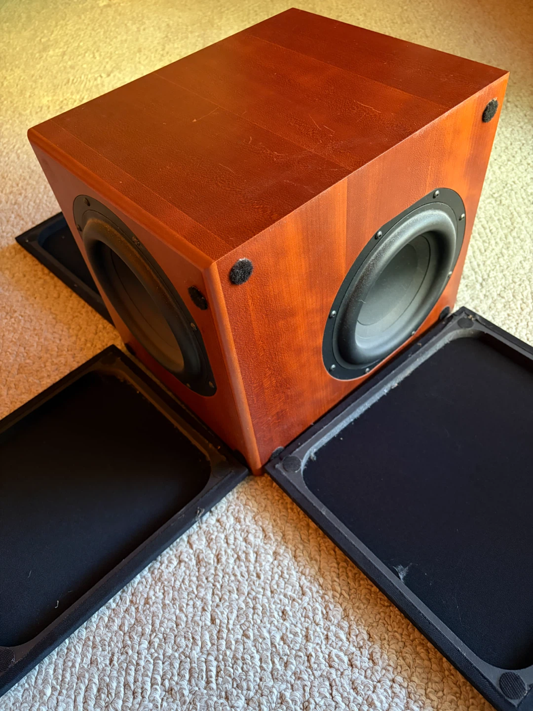 Totem Acoustic Storm Subwoofer - photo 4