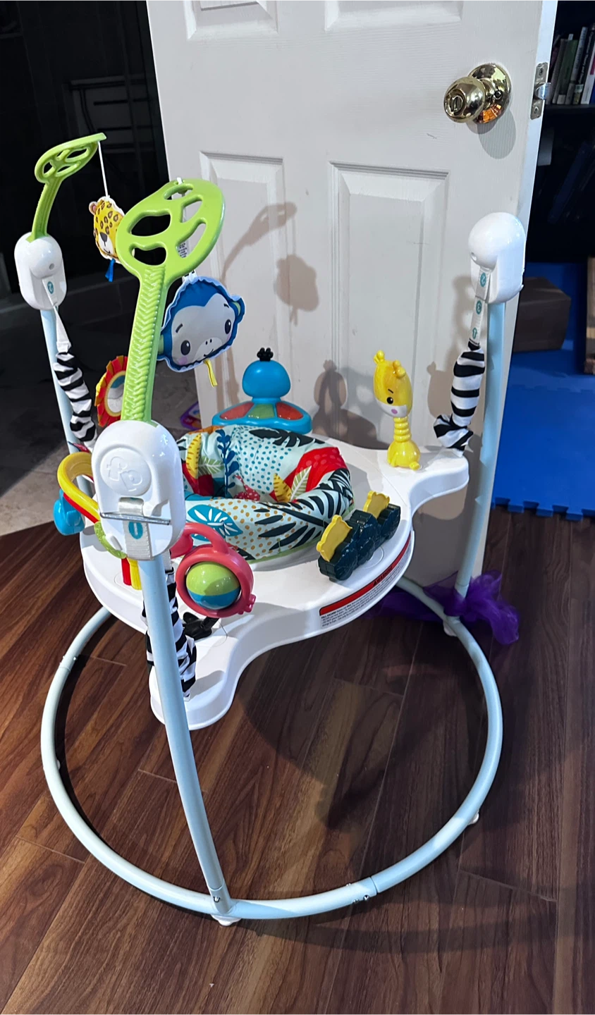 Fisher-Price Rainforest Jumperoo