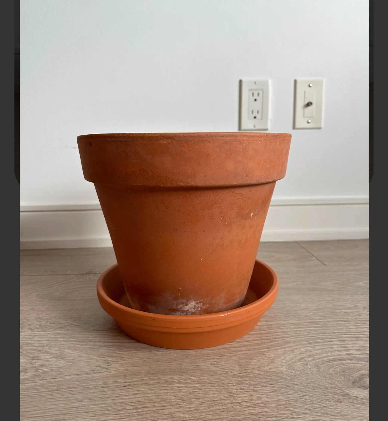 Giant German Terracotta Pot and Saucer