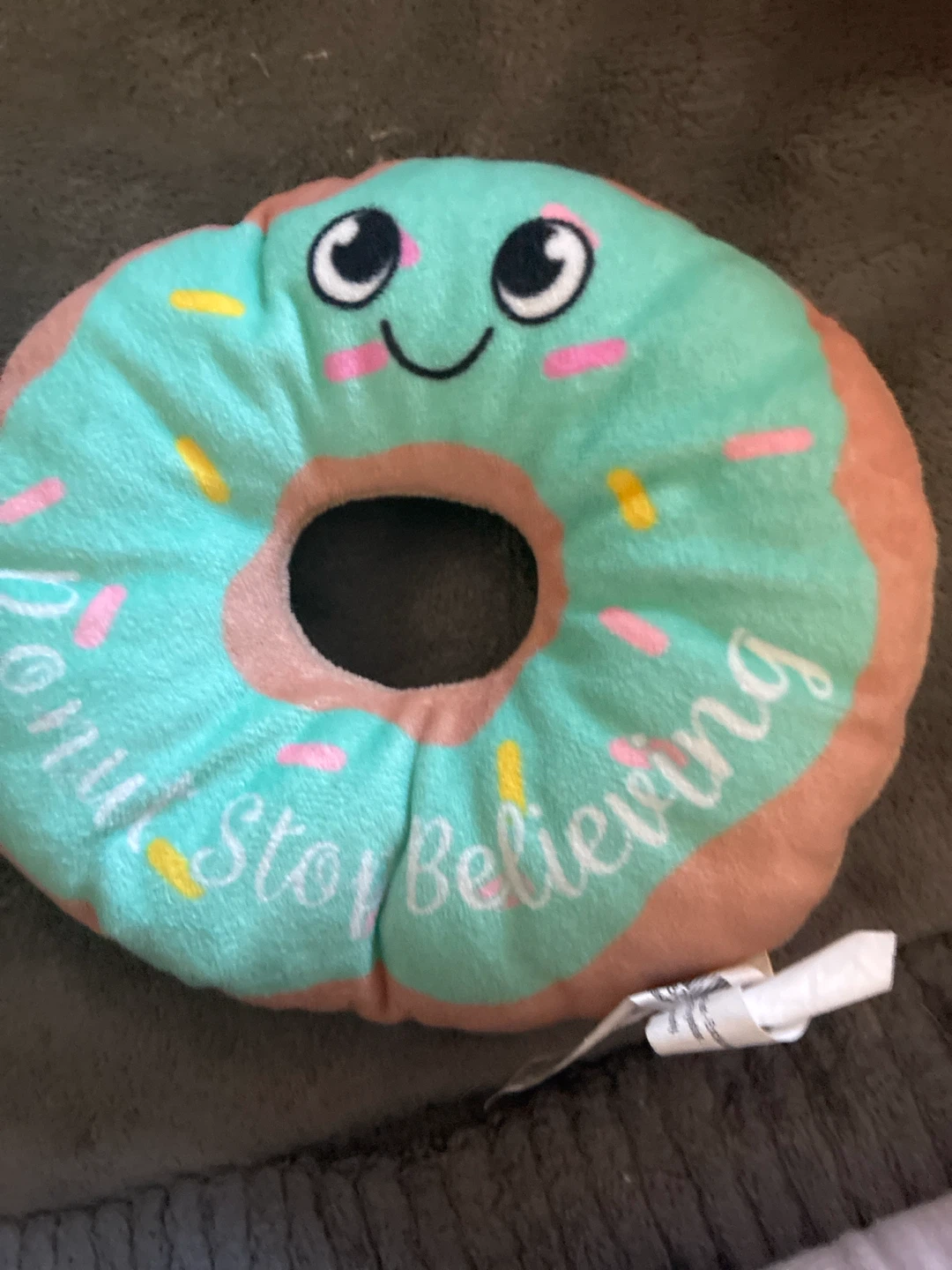 Donut Stop Believing Plush Pillow