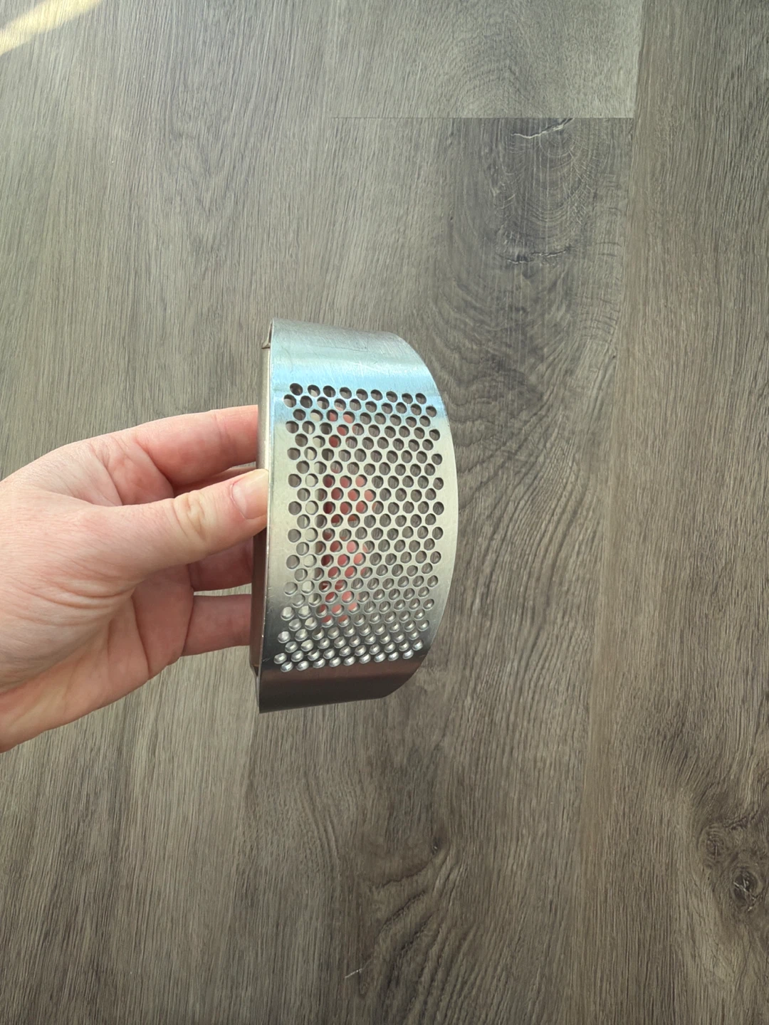 Stainless Steel Garlic Press
