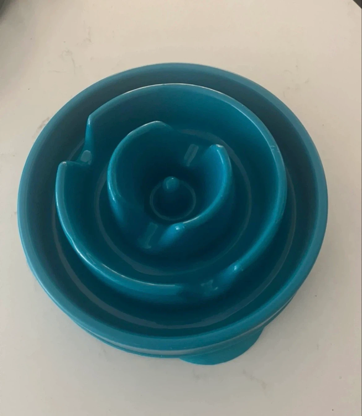 Large slow feeder pet bowl