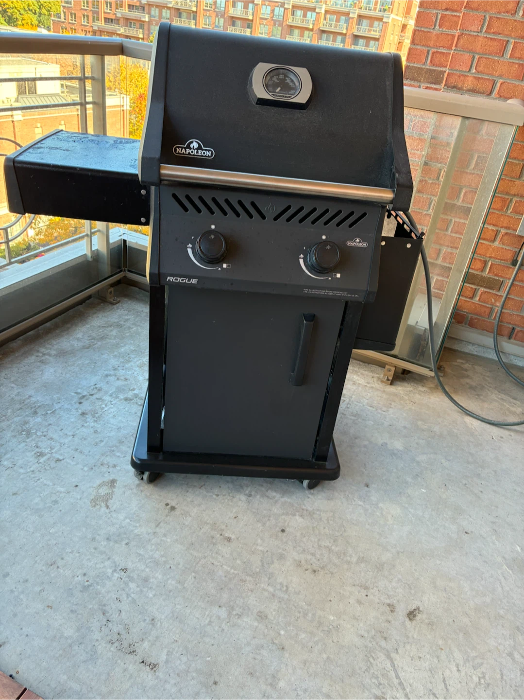 Napoleon Two Burner Natural Gas BBQ
