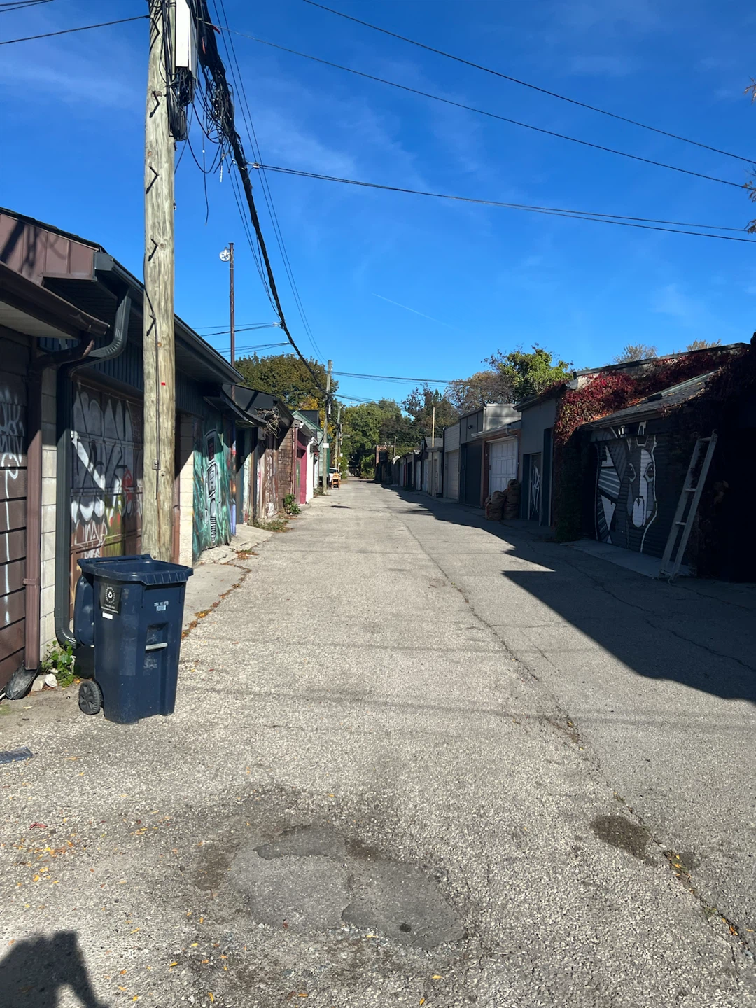 165 Shaw st - Stooping /more to come- free - vinyl - photo 2