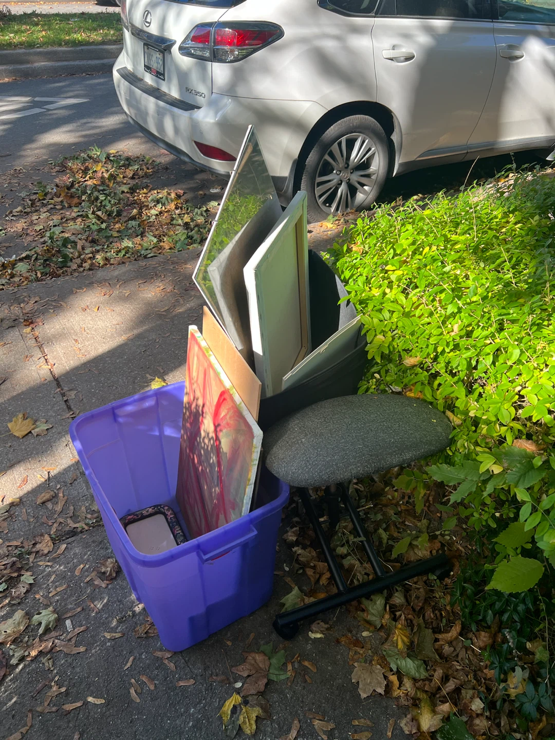 165 Shaw st - Stooping /more to come- free - vinyl - photo 3