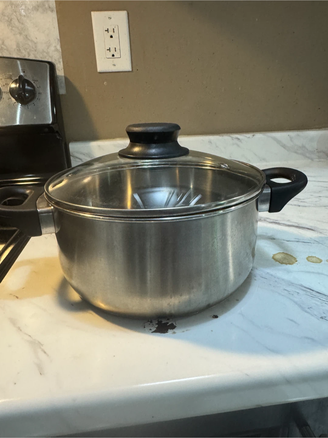 Stainless Steel Stock Pot with Glass Lid