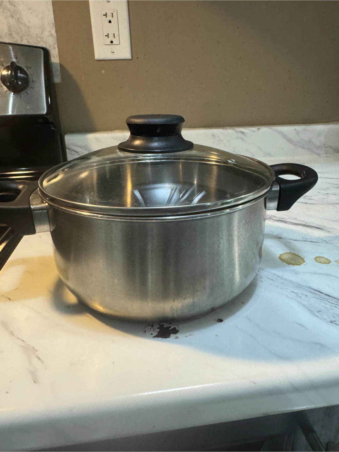 Stainless Steel Stock Pot with Glass Lid - photo 2
