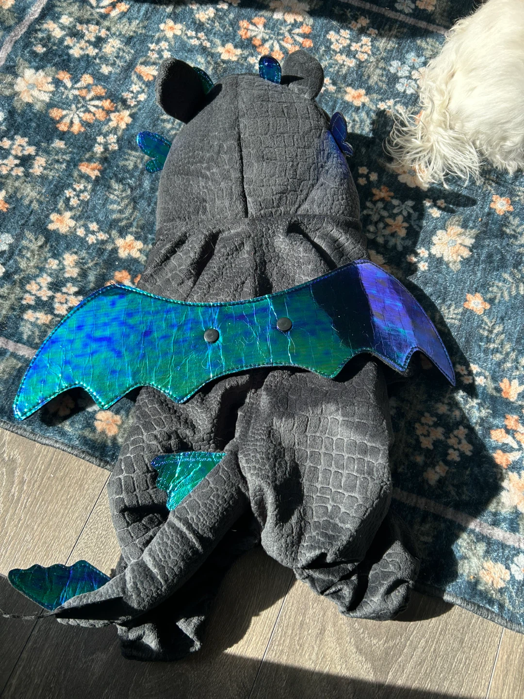 Toothless Dragon Pet Costume