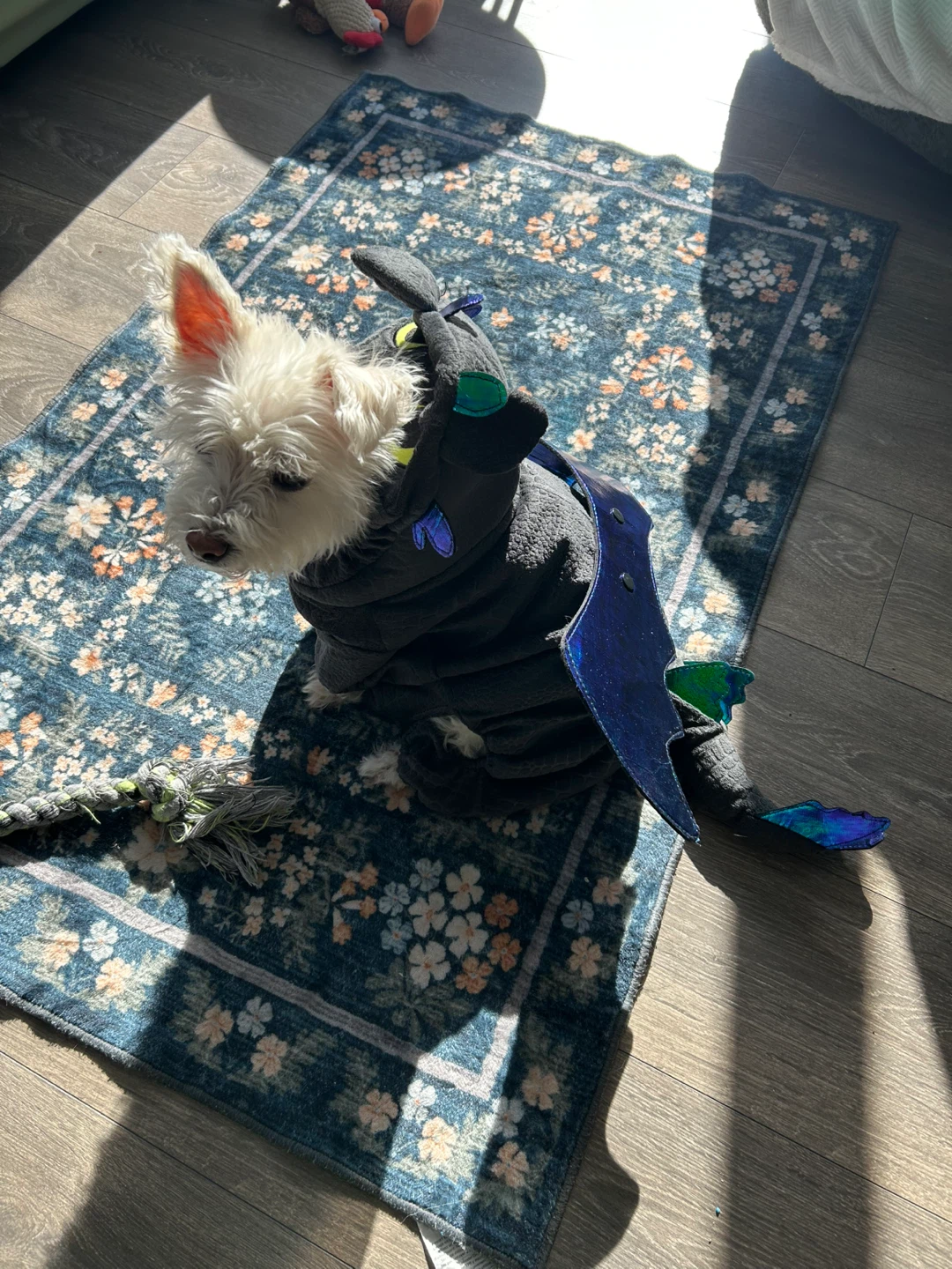 Toothless Dragon Pet Costume - photo 3