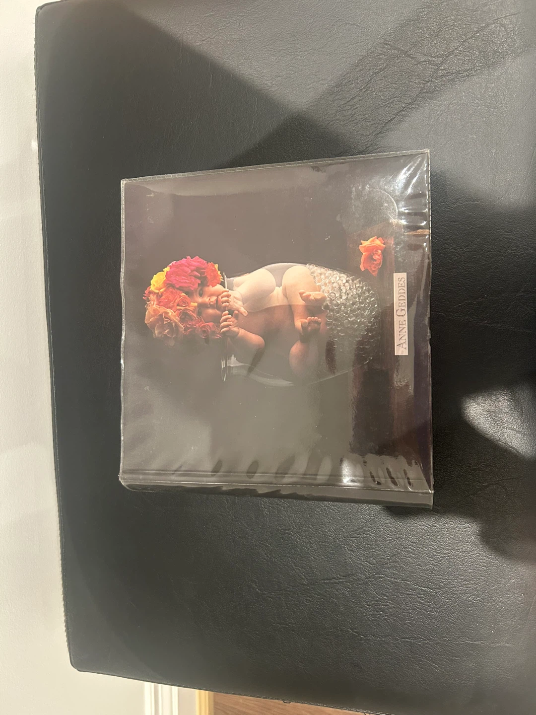 Anne Geddes Photo Album