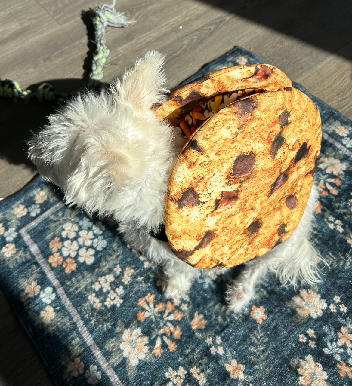 Chocolate chip ice cream cookie sandwich dog costume