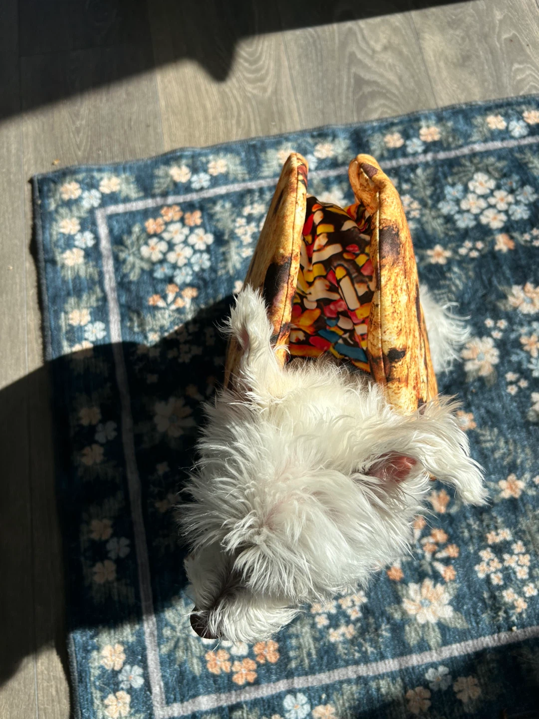 Chocolate chip ice cream cookie sandwich dog costume - photo 2