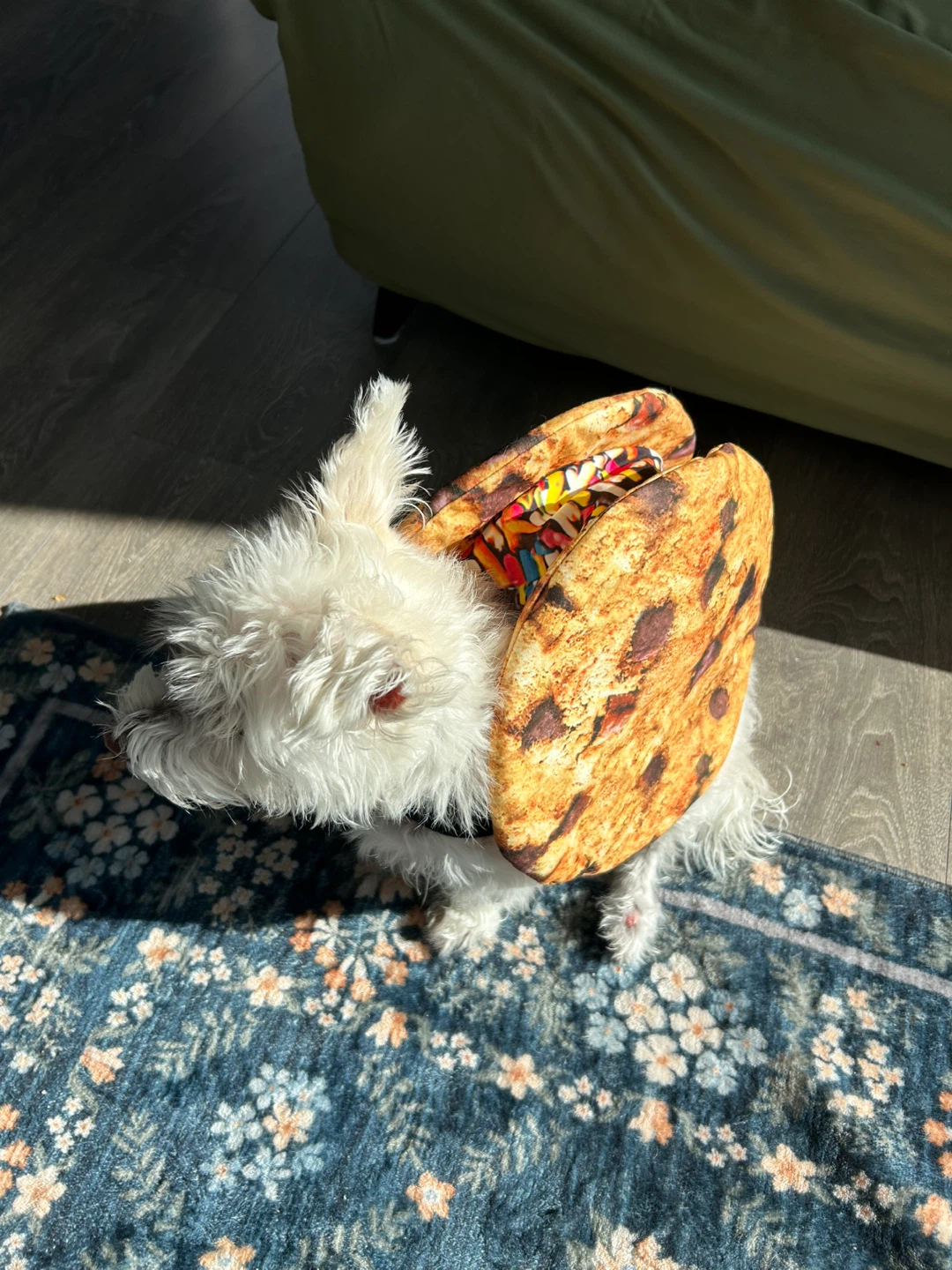 Chocolate chip ice cream cookie sandwich dog costume - photo 3