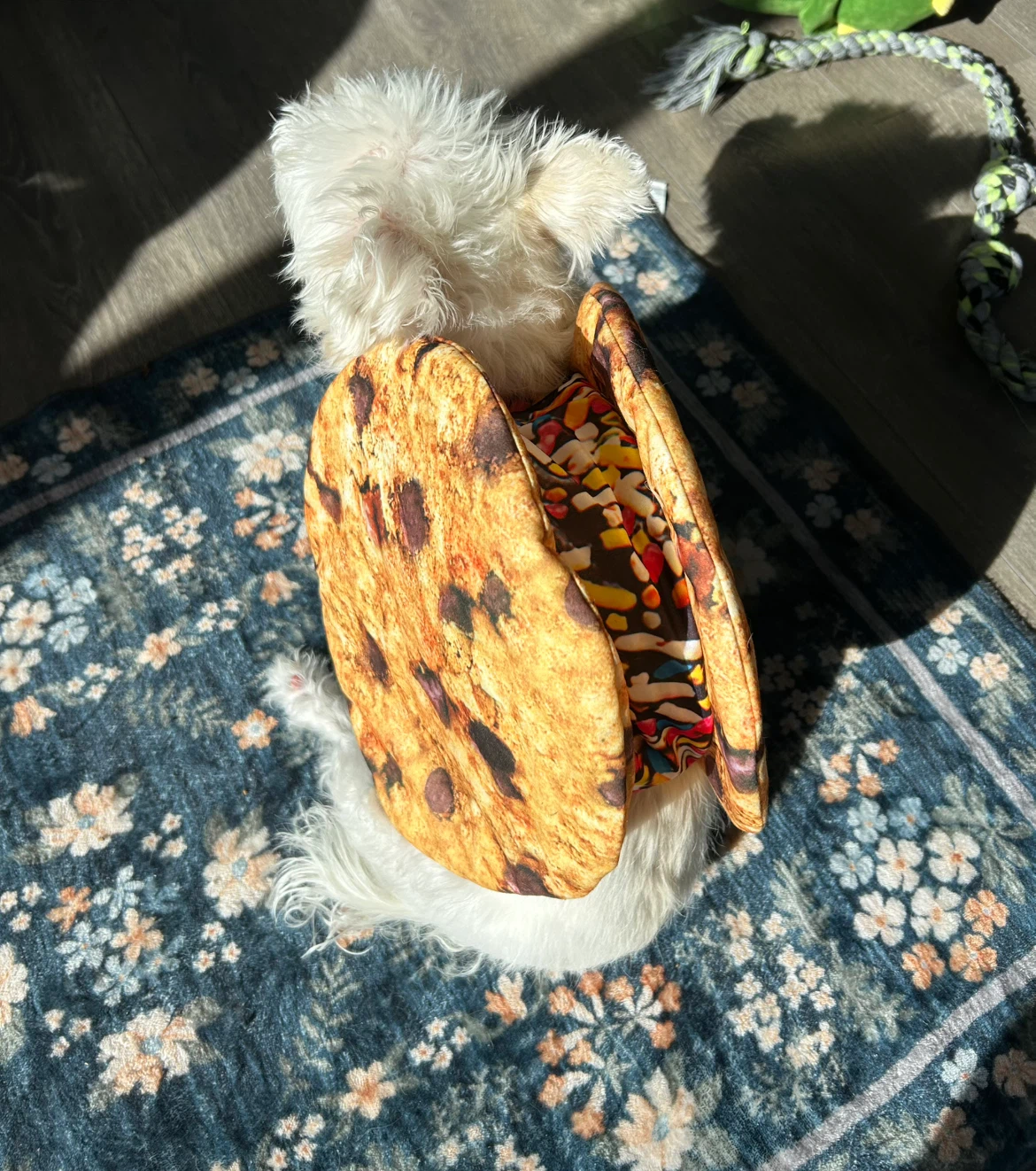 Chocolate chip ice cream cookie sandwich dog costume - photo 4