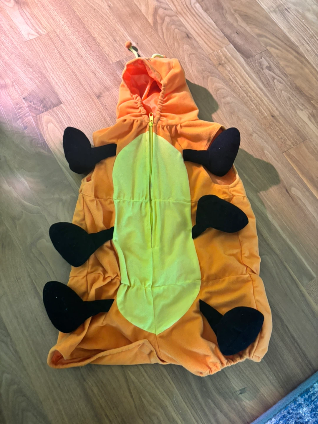 Caterpillar Costume for toddler