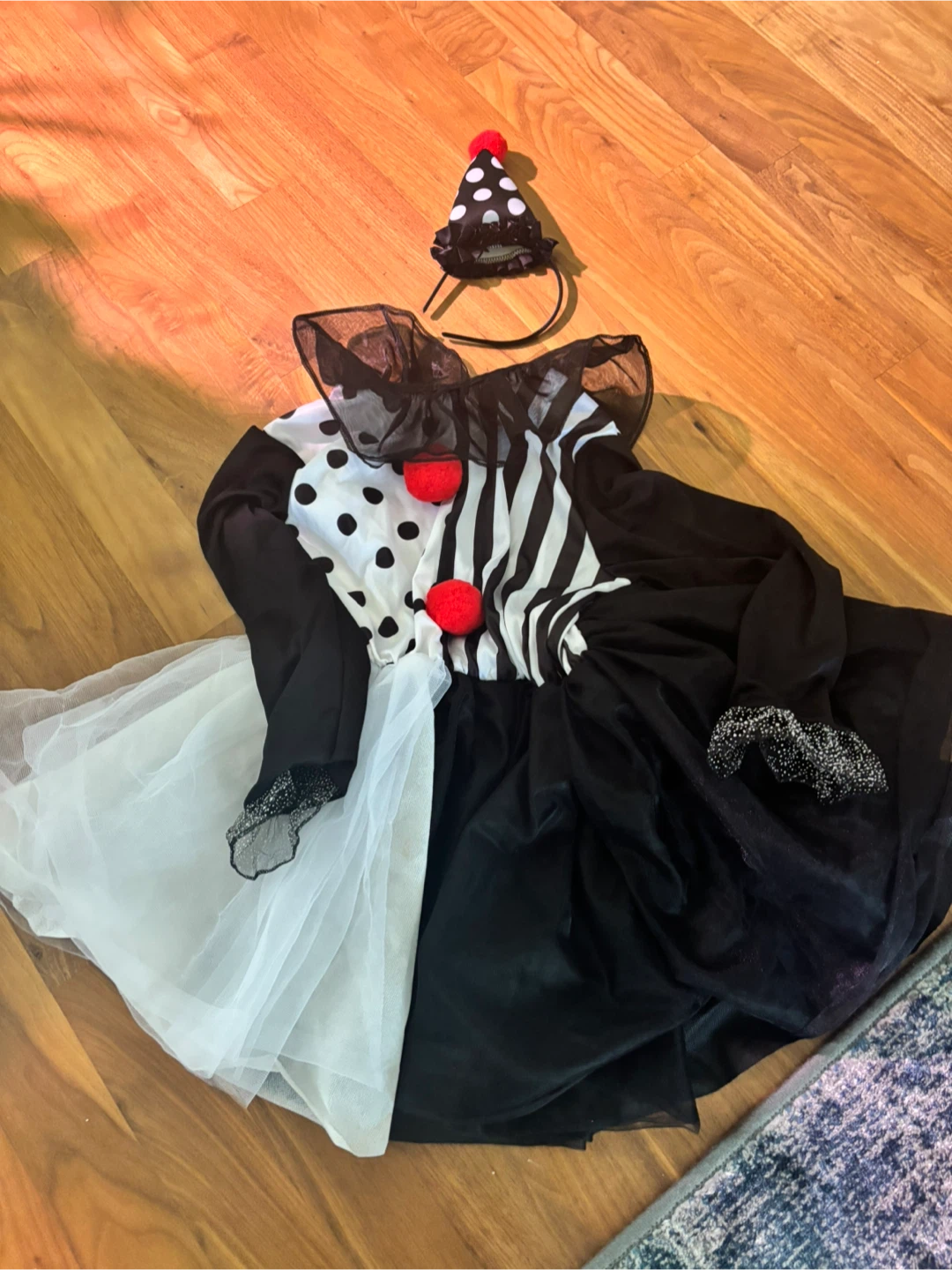 Black and White Harlequin Clown Costume