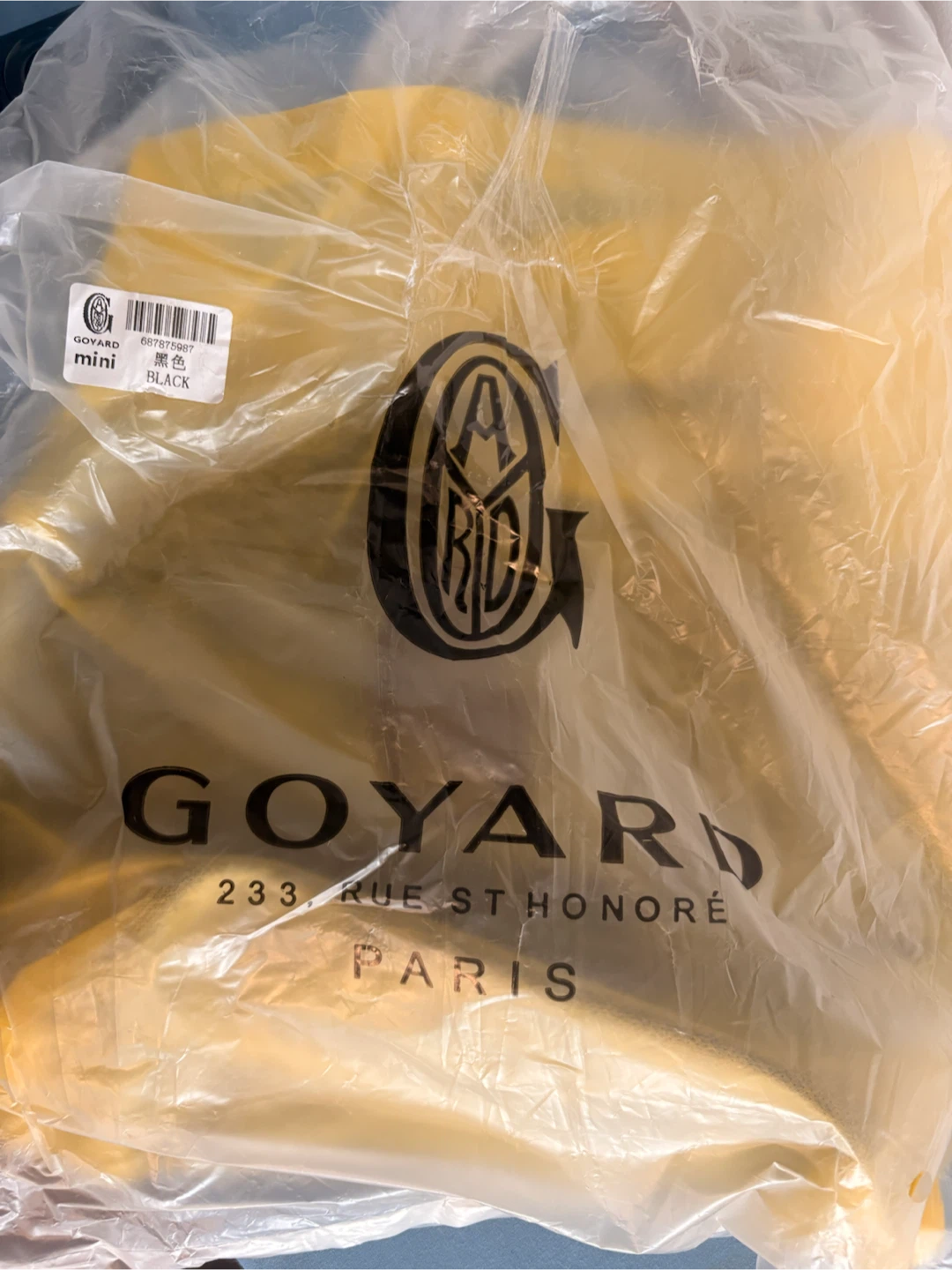 Goyard Mini Anjou Tote Bag