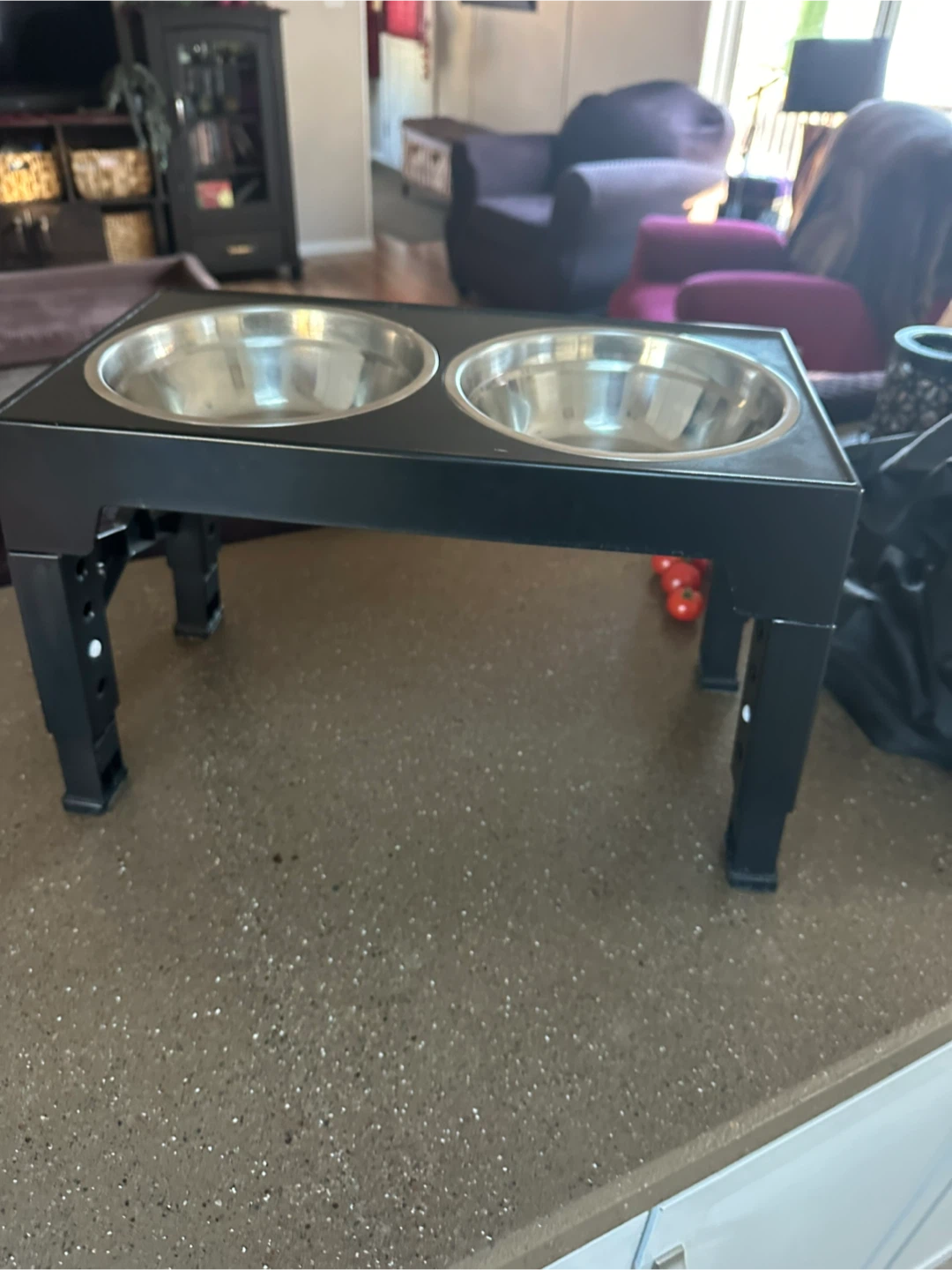 Adjustable Elevated Pet Feeder