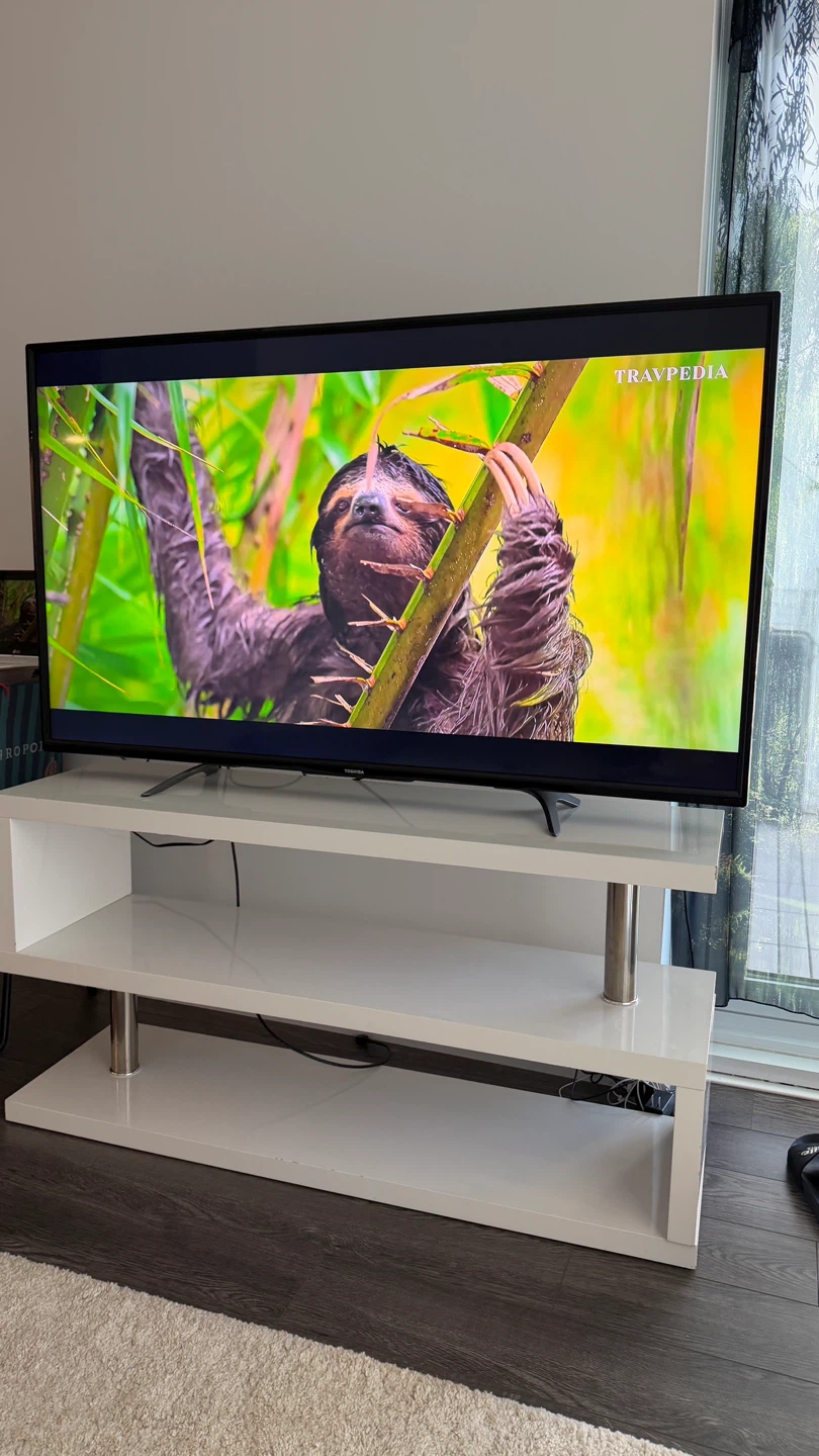 ToshibaTV55in& TV stand