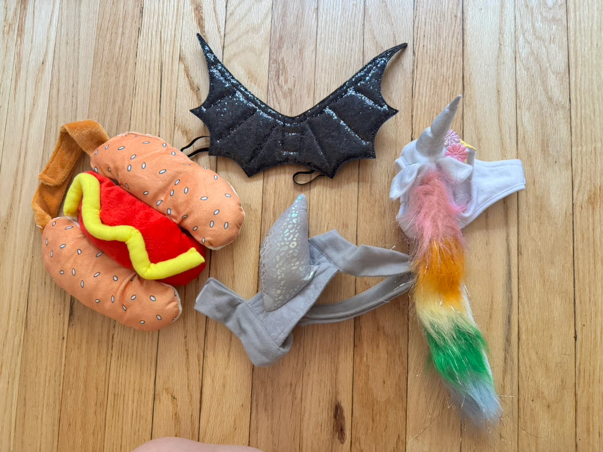 Set of 4 Pet Costume Accessories