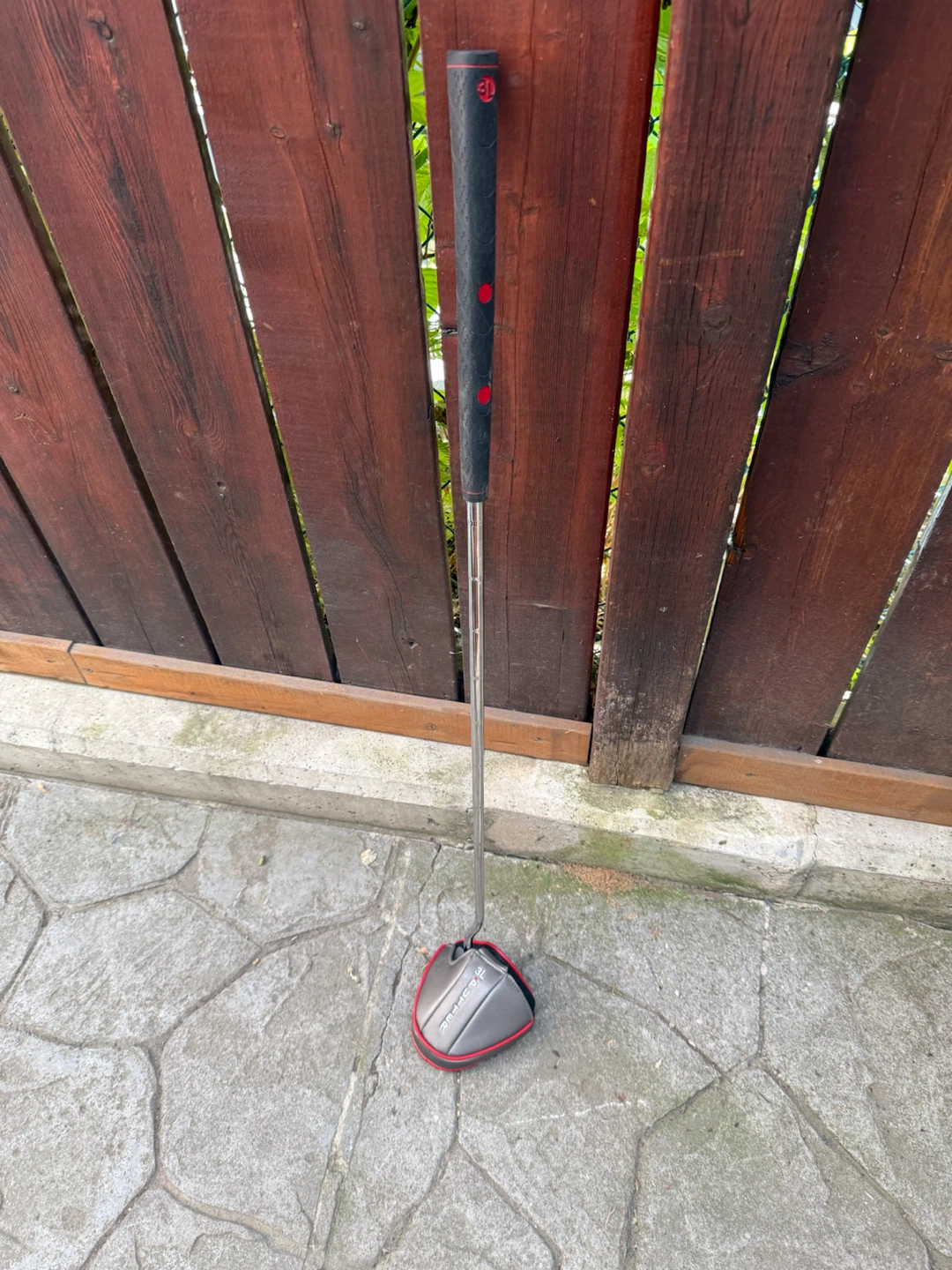 3L putter golf