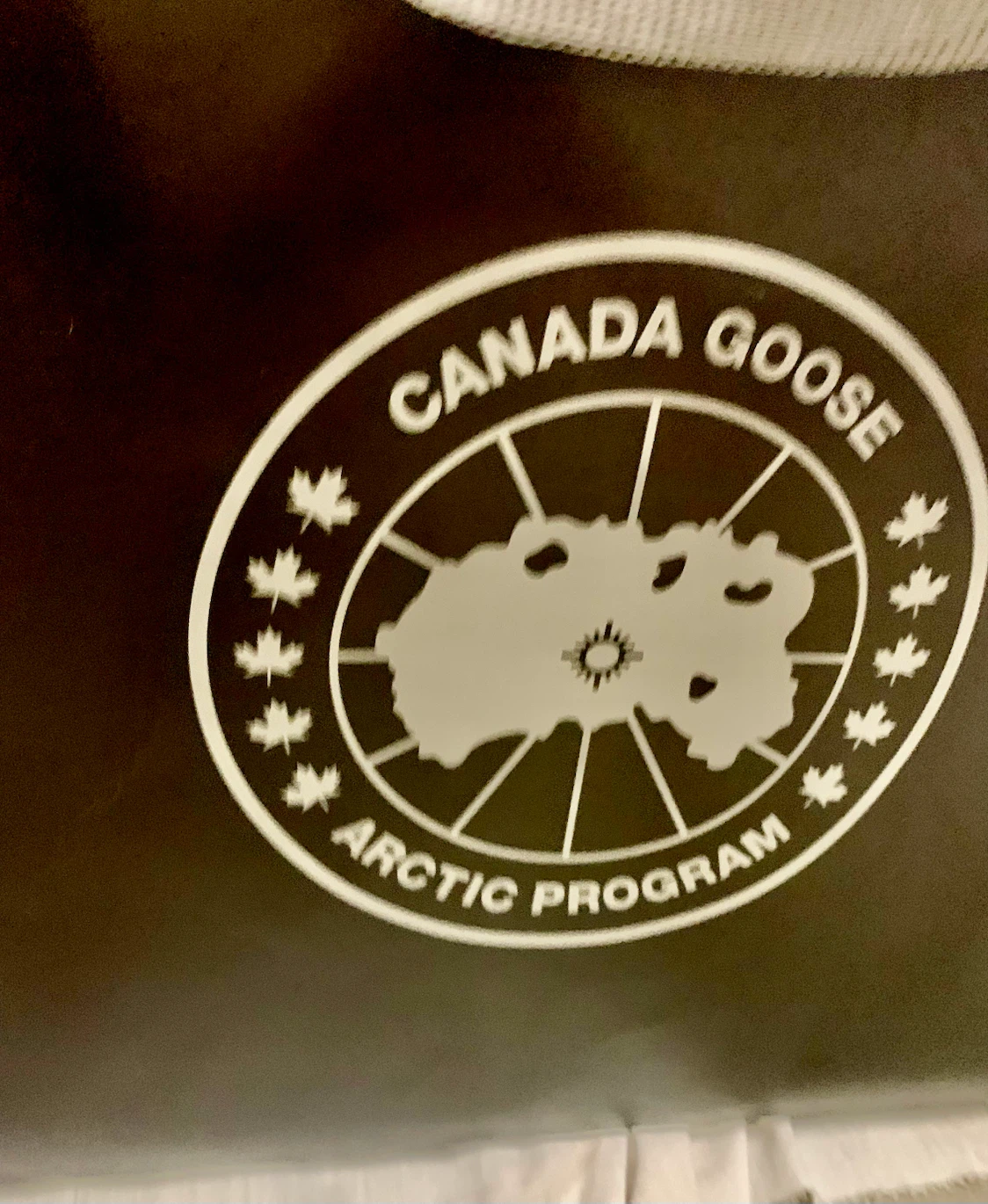 Canada, goose paper shopping bag extra large - photo 2