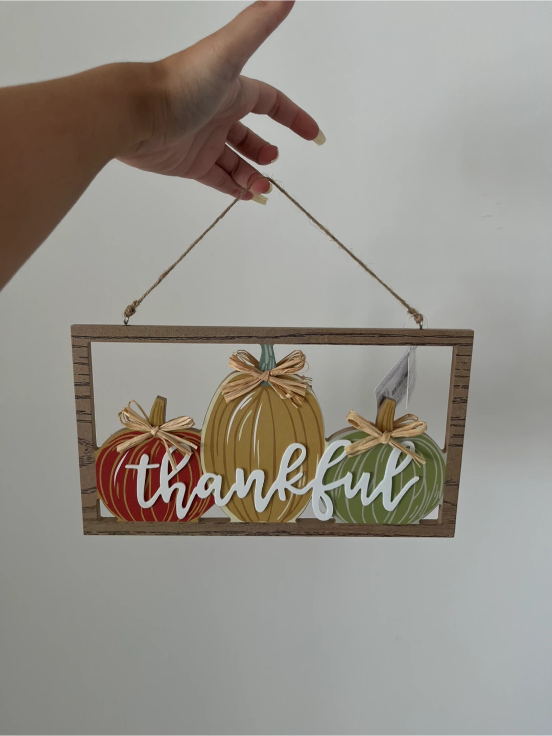 Thankful Fall Pumpkin Home Wall Hanging Decor Sign