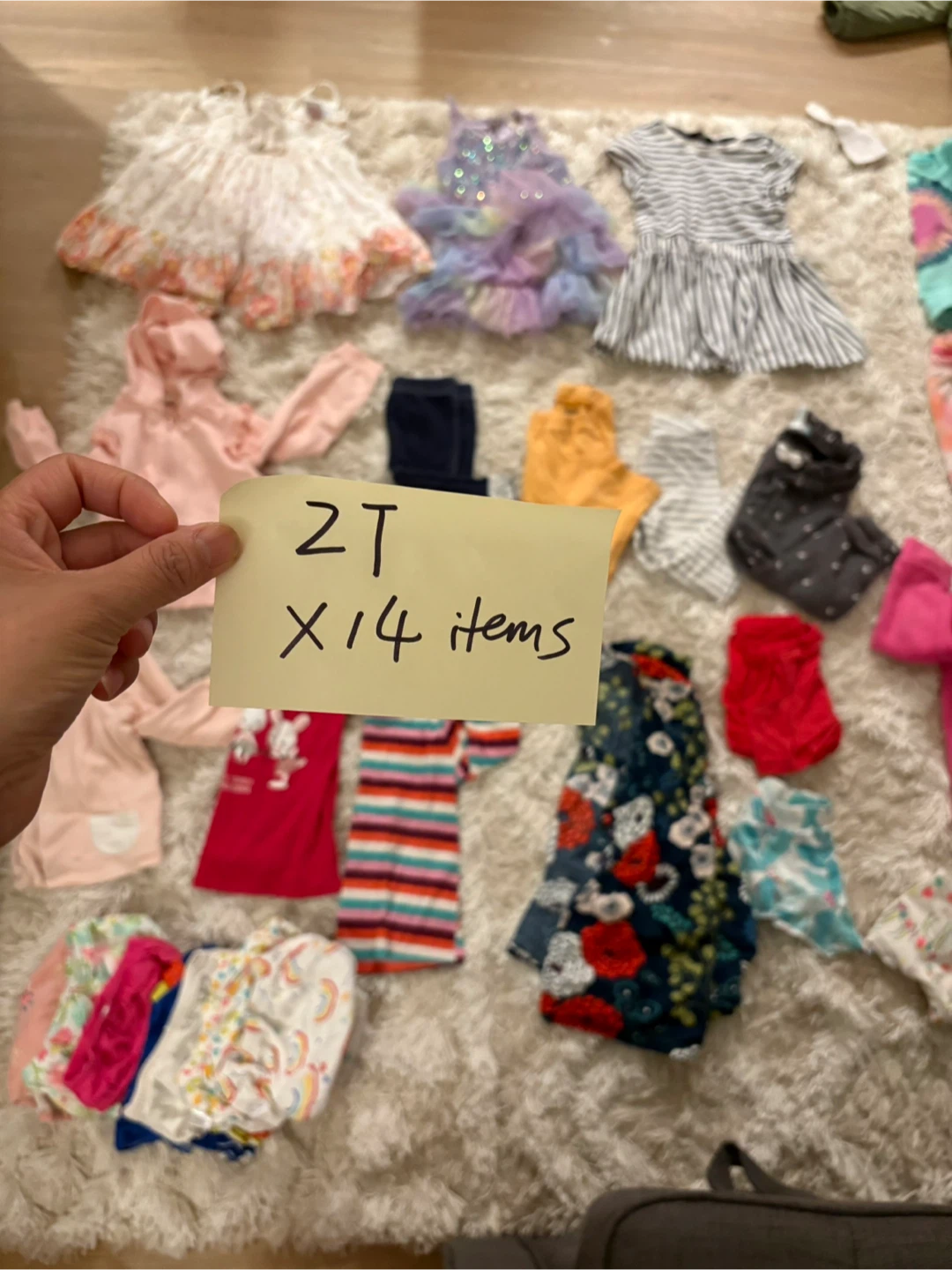 Toddler Girl Clothes Bundle 2T