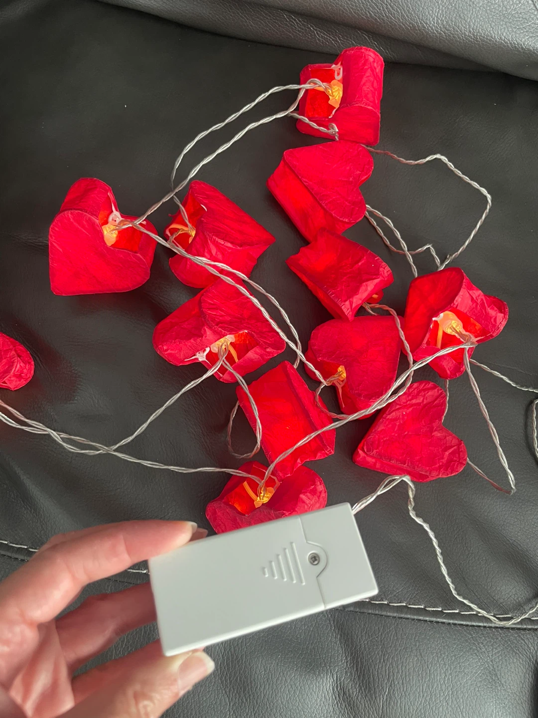 Red Heart String Lights