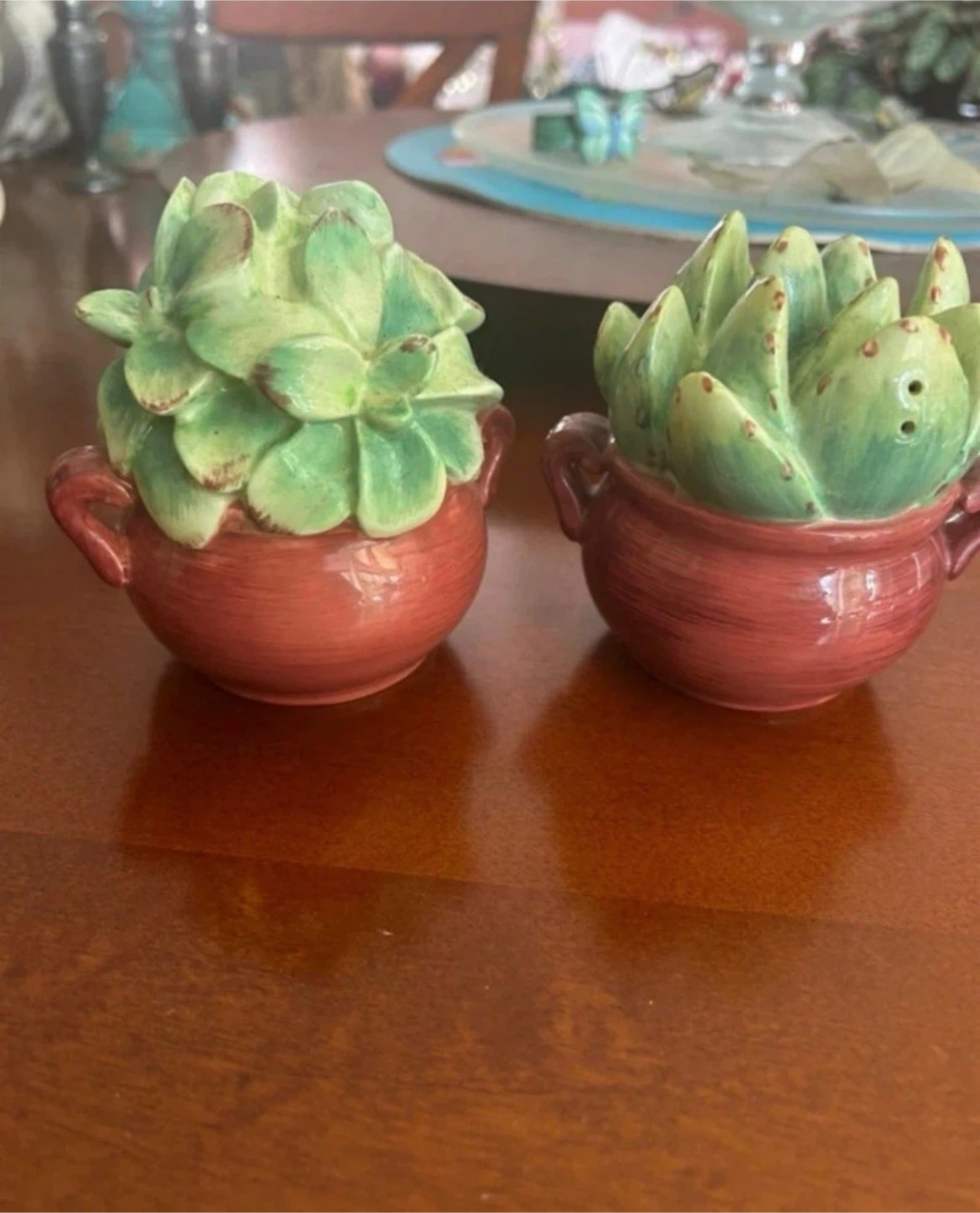 Succulent Salt and Pepper Shakers