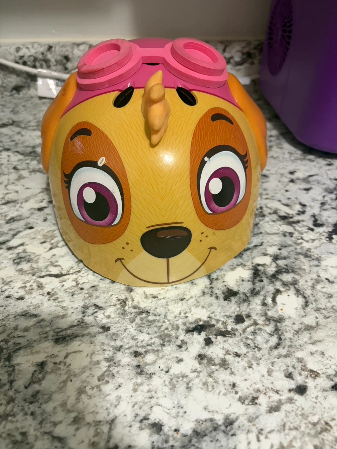 Paw Patrol Skye Child's Helmet