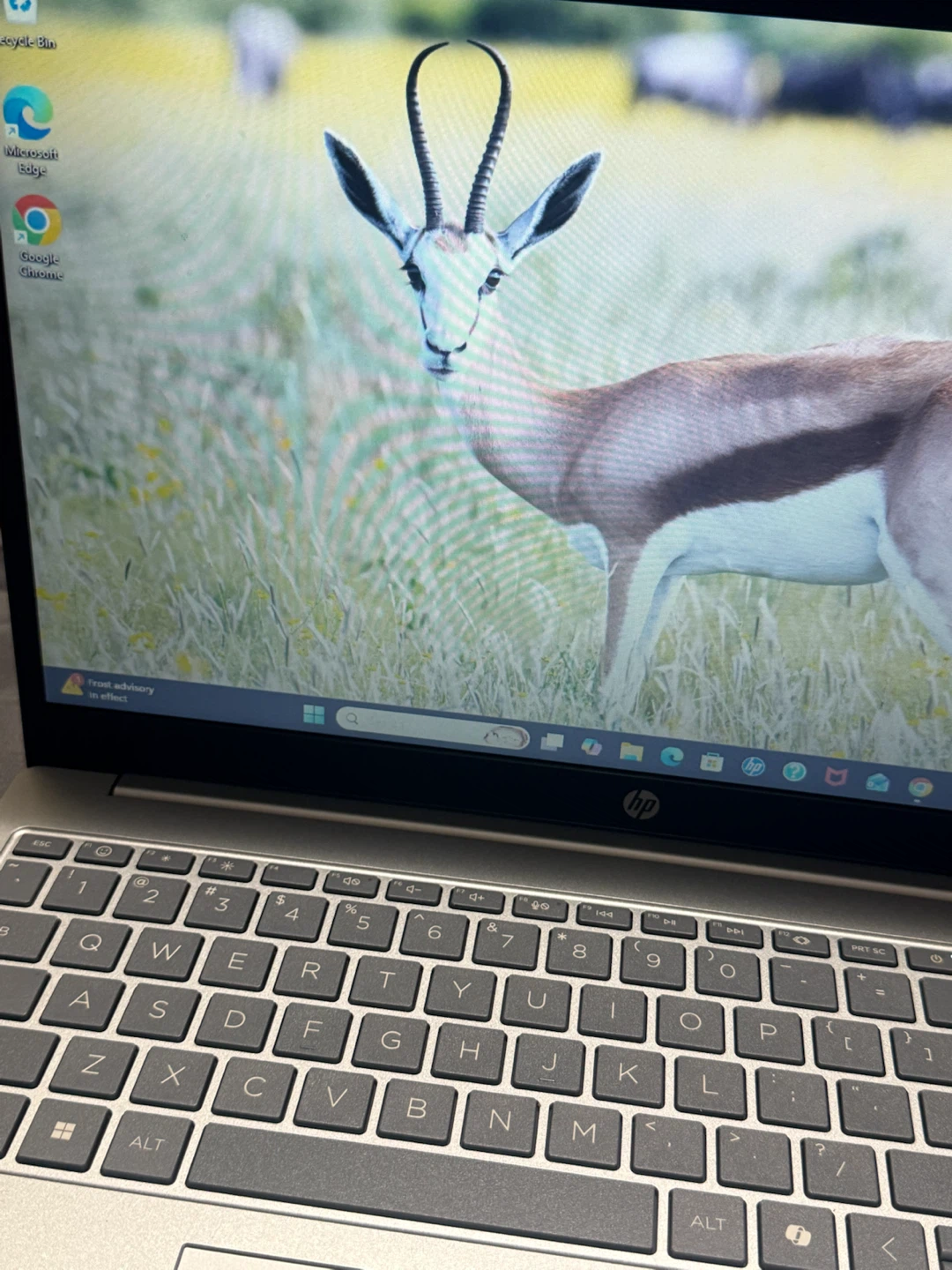 HP 15.6 Intel Core i3 Touch-Screen Laptop New - photo 4
