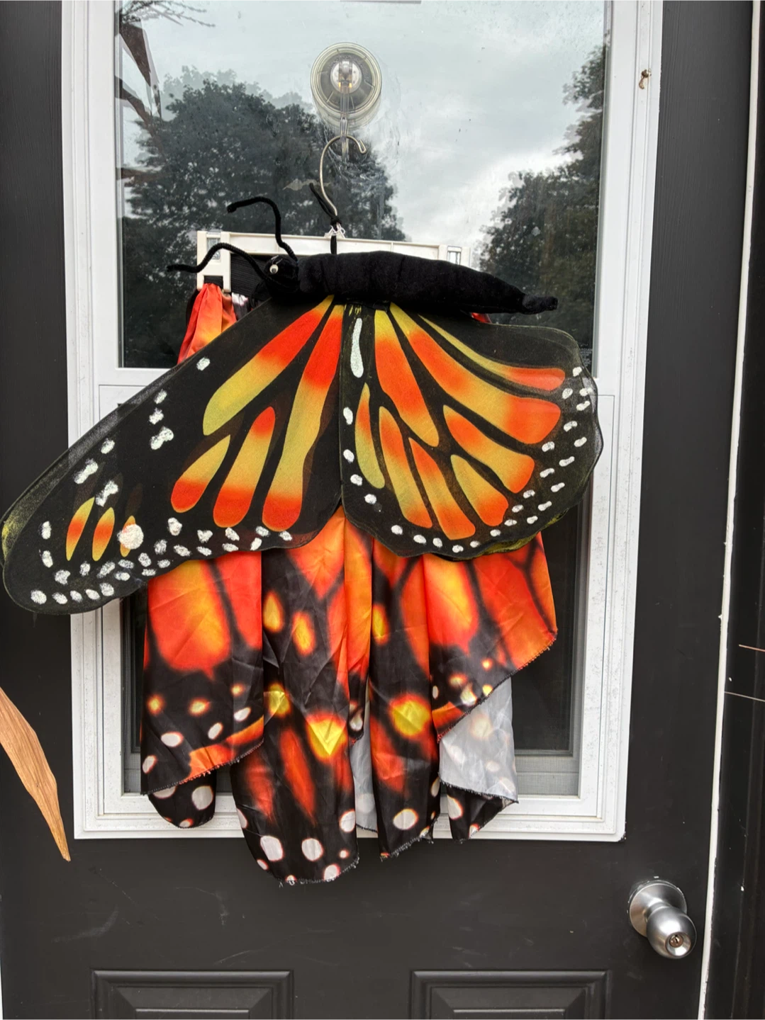 Butterfly Costume Set